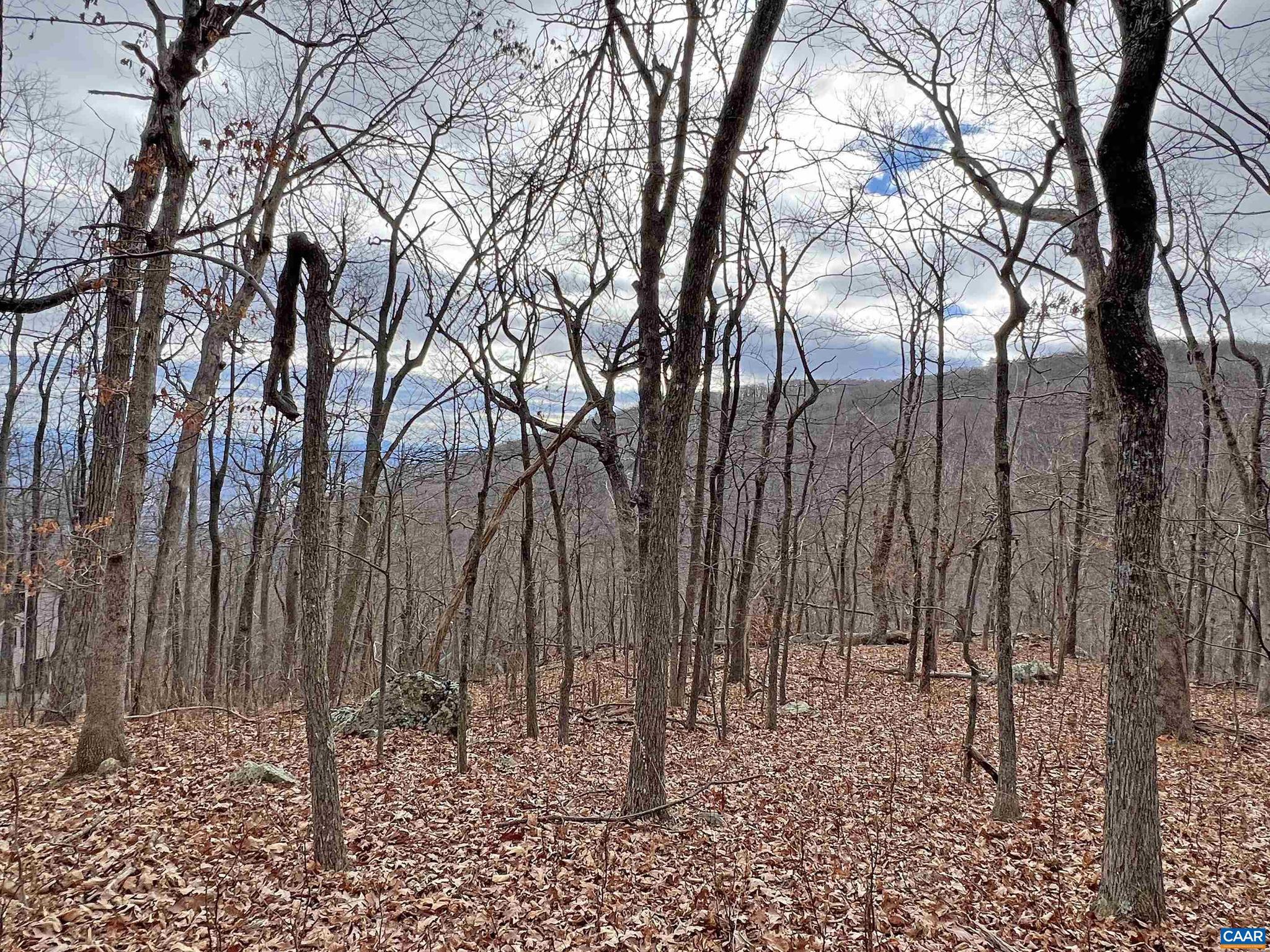 Beautiful gently sloping lot located on a quiet street with only a handful of homes. Wonderful seasonal views of the Shamokin Gorge. It is possible that with careful selection and placement of the future home, you could get a window of all-year-round views. The terrain of the lot is very builder-friendly and it has both level and gently sloping building sites, allowing great flexibility in building floor plans. The access to the Old AT is right across the street from your future house's front yard. Walk a few yards on the trail and you will get to the beautiful Shamokin Springs. Several other hiking trail access points are at a convenient walk from this lot. Very quiet area of Wintergreen, and yet only a short drive to the resort amenities, like golf, tennis, and Spa.