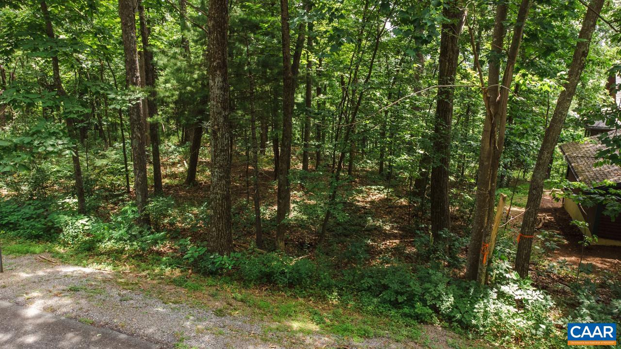 WINTERGREEN RESORT - Land