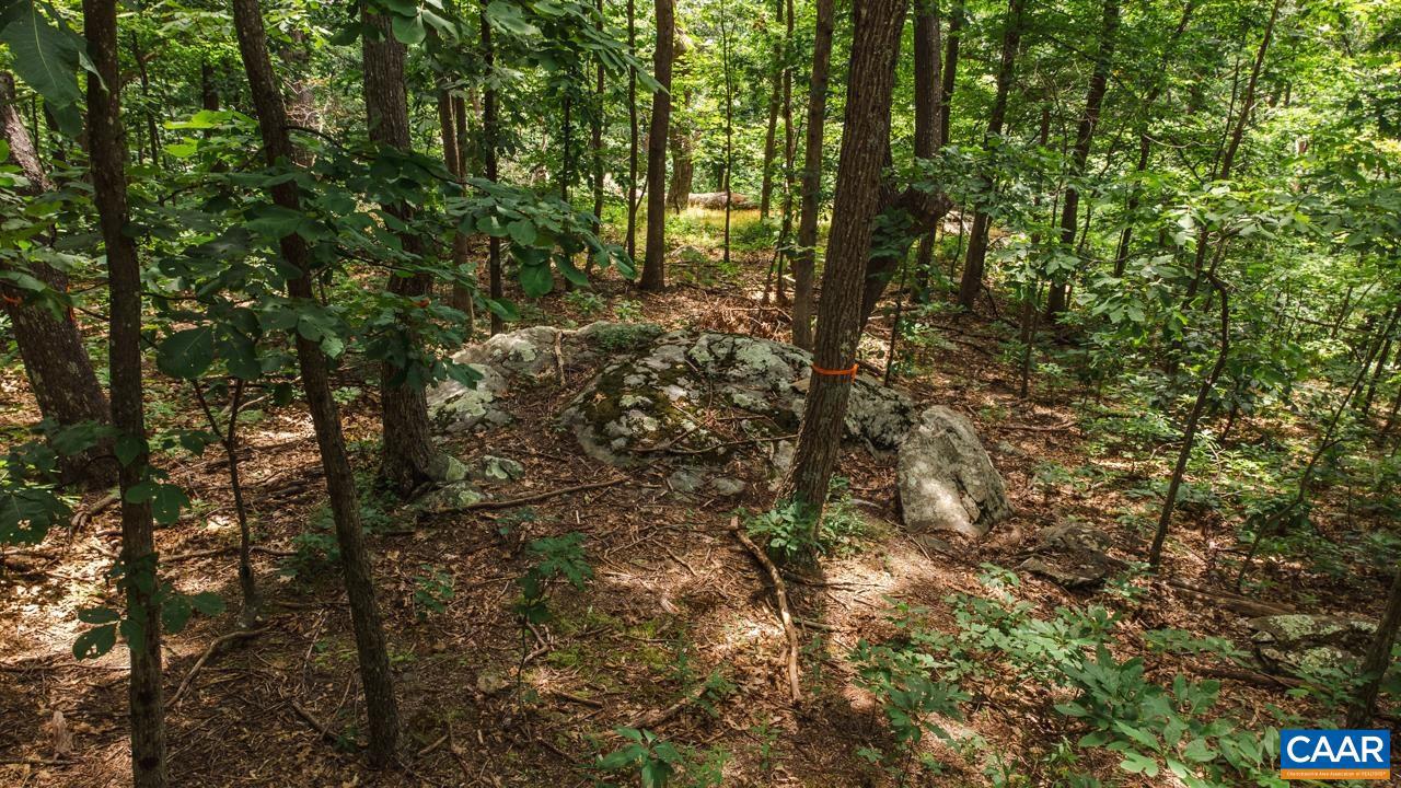 WINTERGREEN RESORT - Land