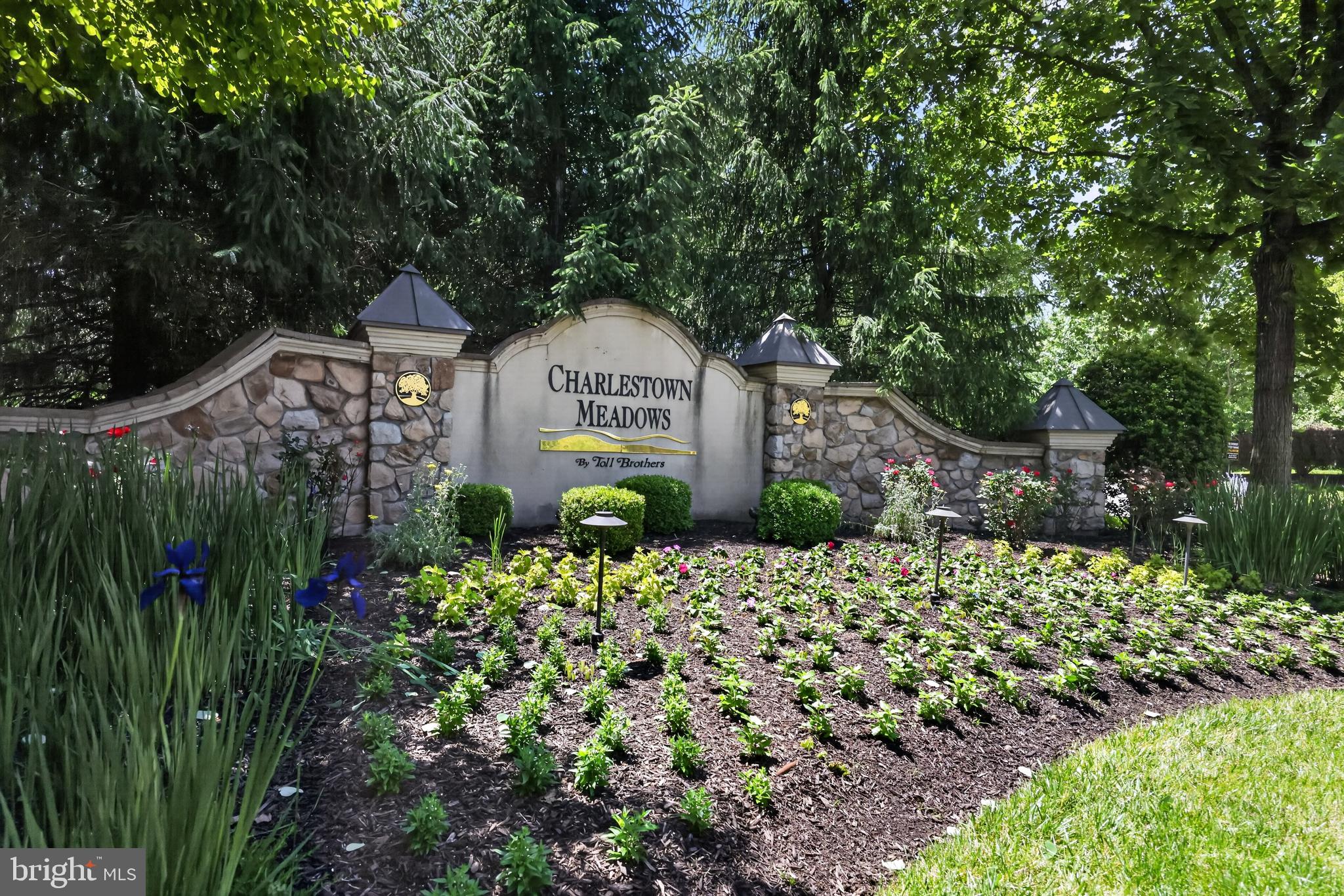 CHARLESTOWN MEADOWS - Residential