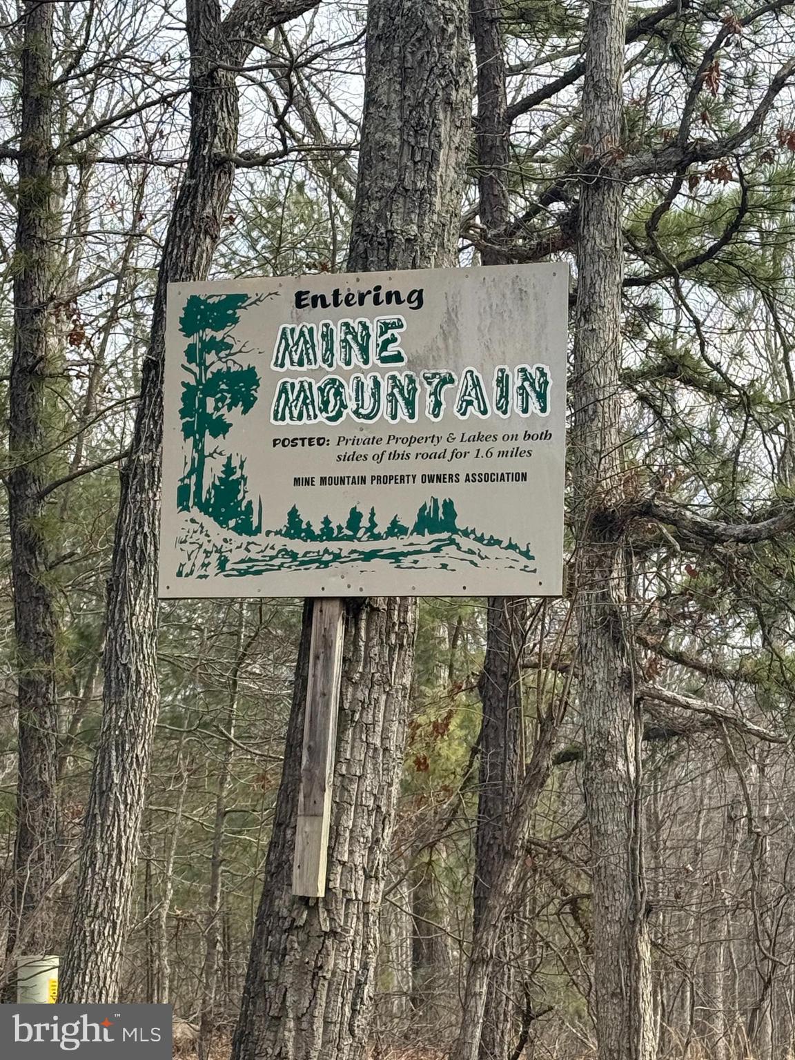 MINE MOUNTAIN - Land