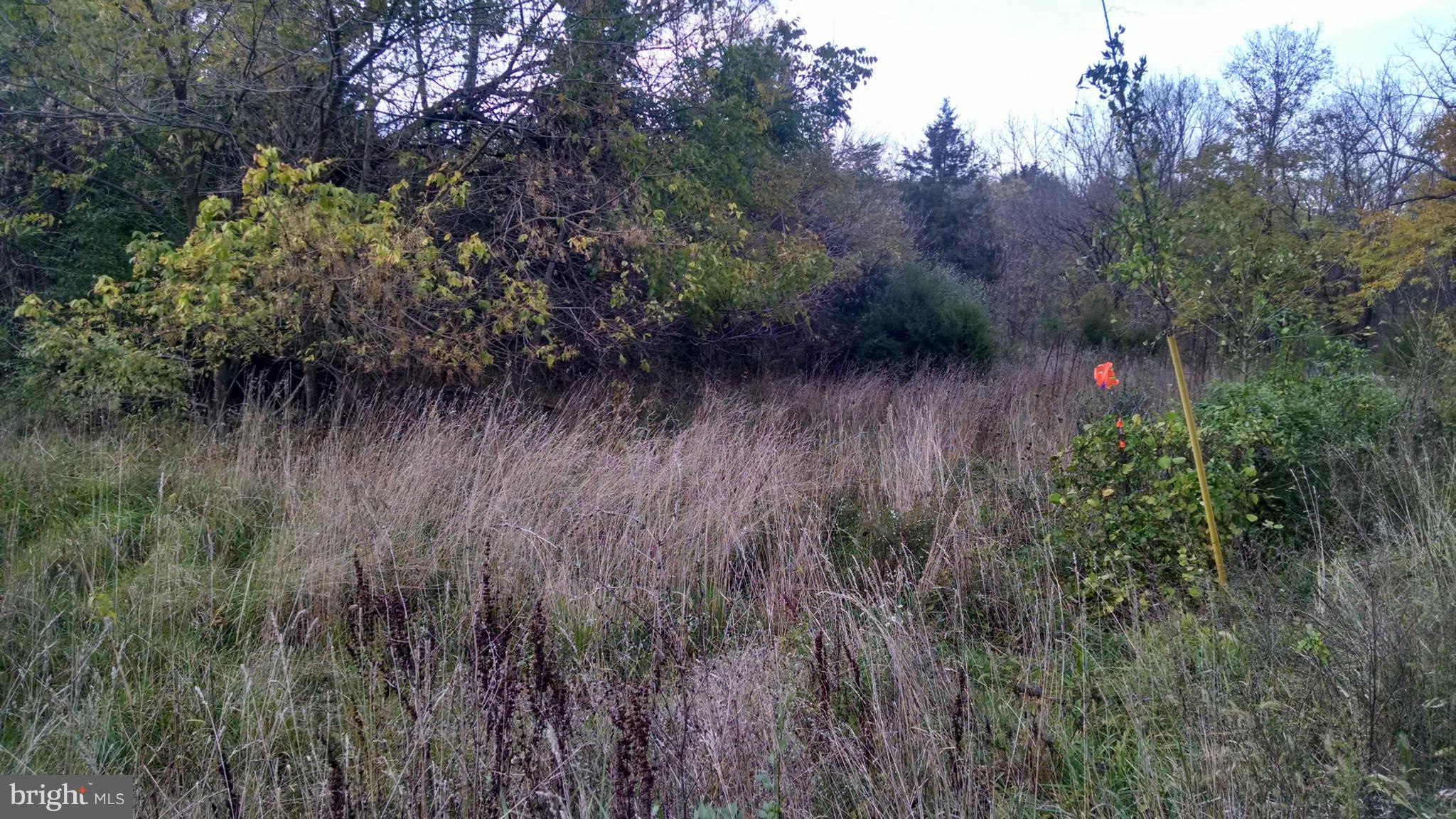 MILL CREEK SPRINGS - Land