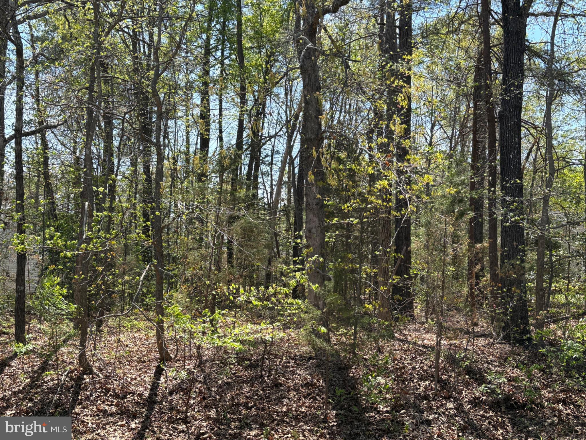 Wooded homesite located with in the gated Lake Caroline community offering access to a private lake, pool, club house, beaches, marinas, tennis and pickle ball courts, parks, and recreational amenities. Buyers should performed their own due diligence regarding soil studies, septic approval, building requirements, and utilities availability.