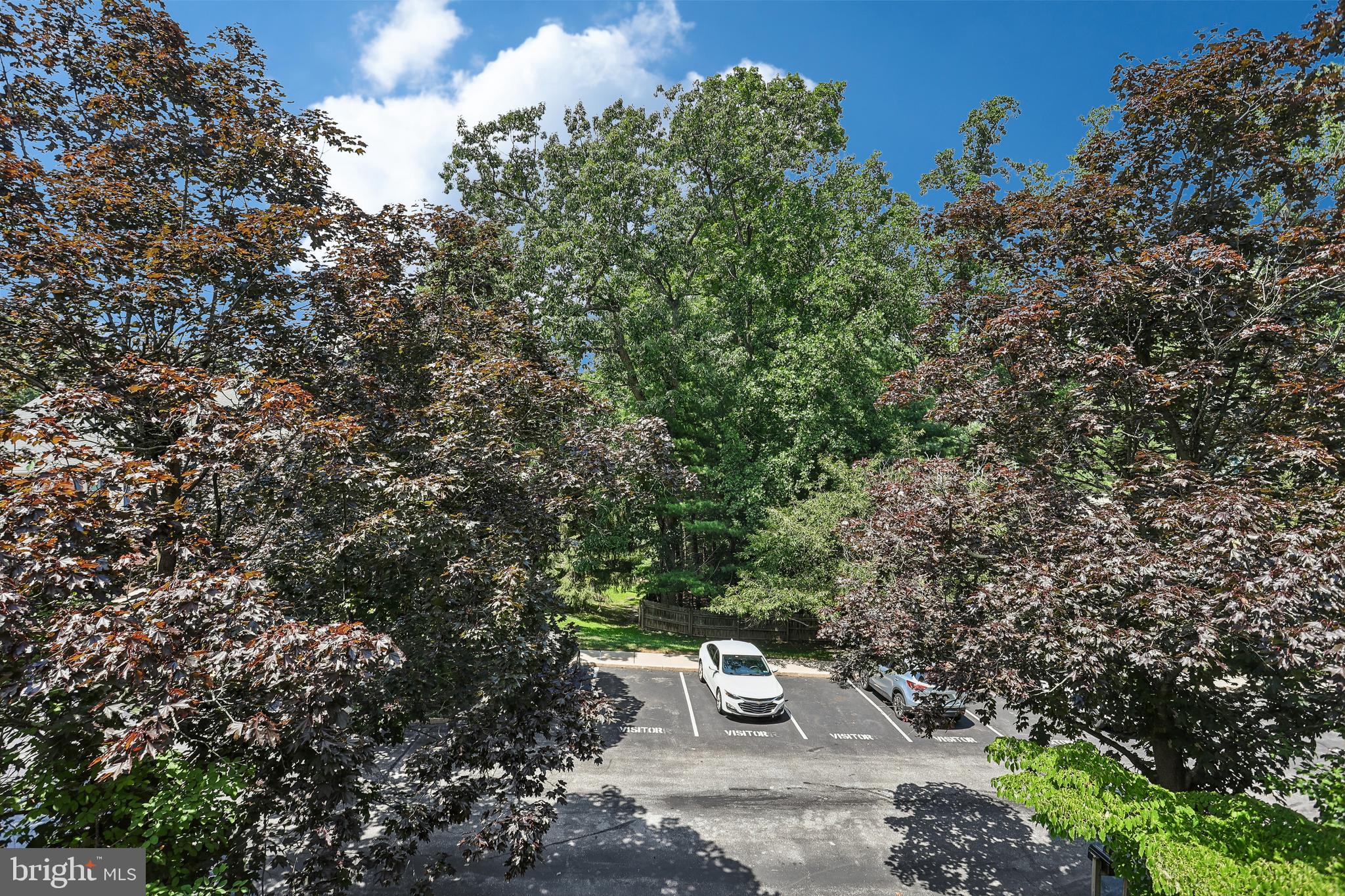 TANGLEWOOD - Residential