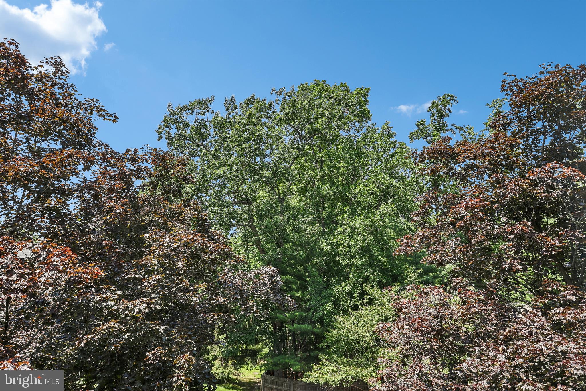 TANGLEWOOD - Residential