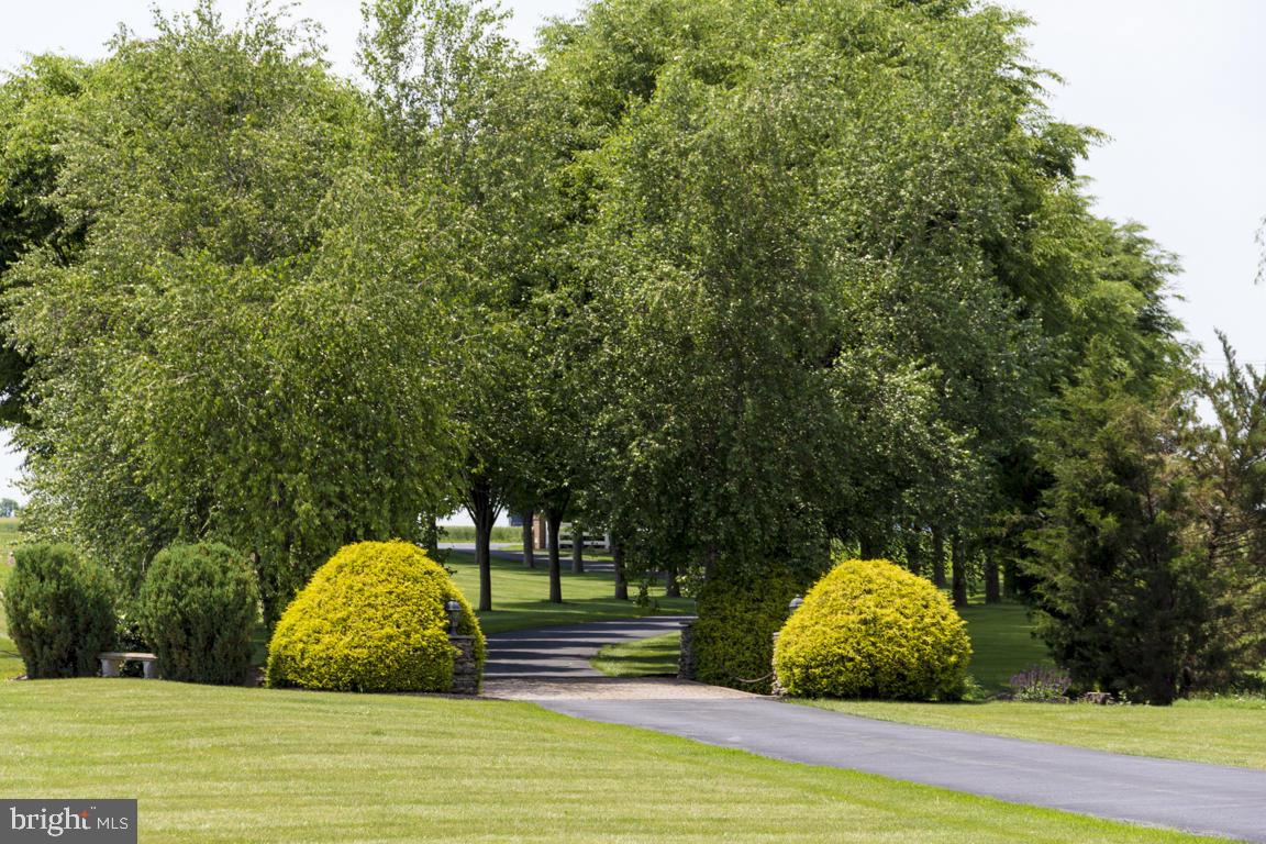 EAST HEMPFIELD - Farm