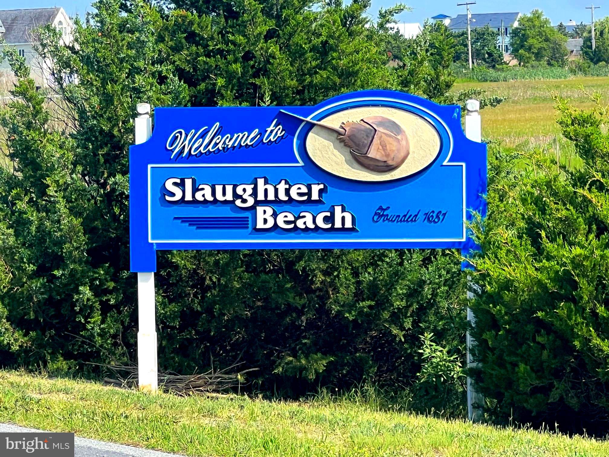 SLAUGHTER BEACH - Residential