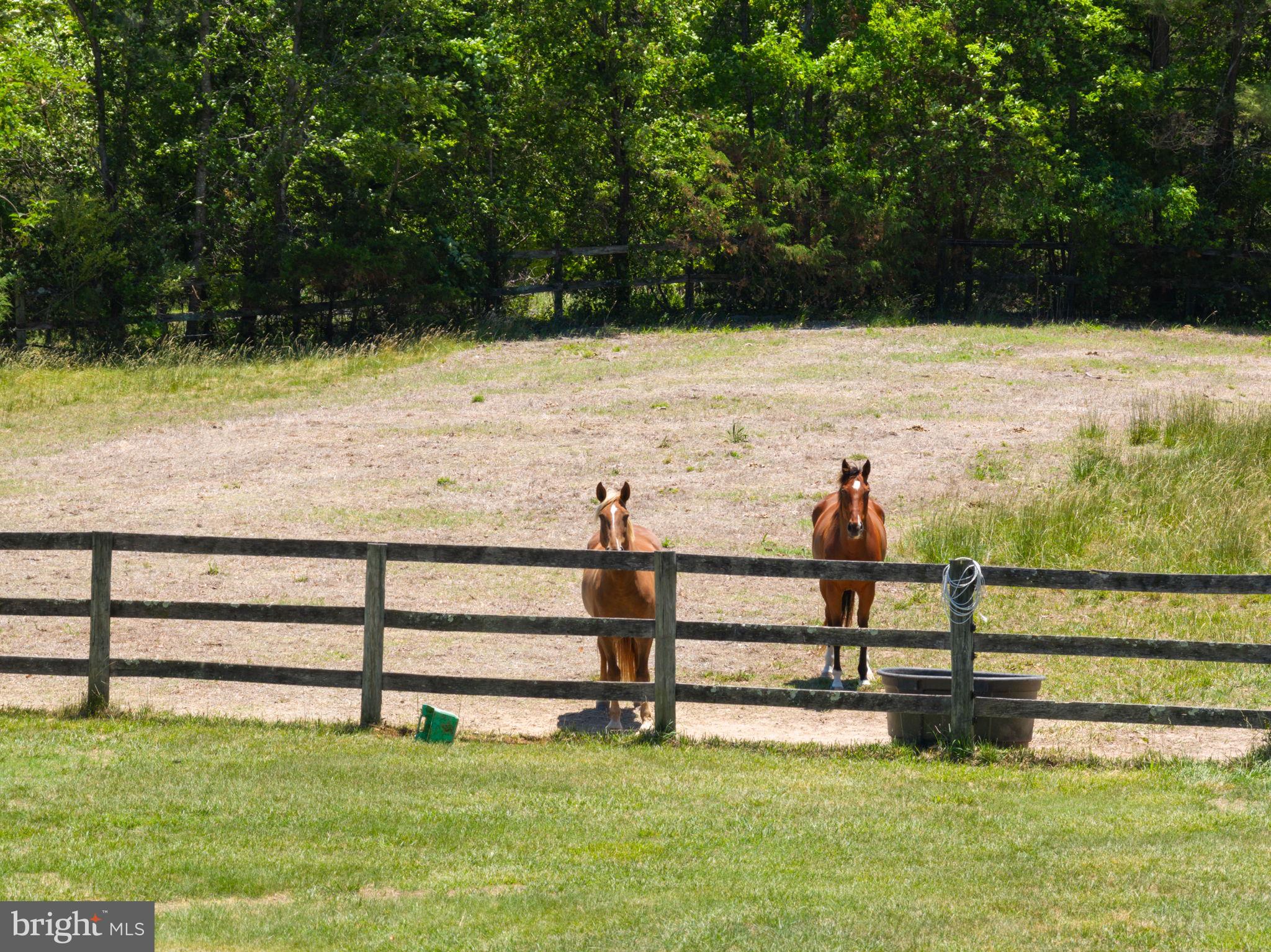 PERCHERON PLACE - Residential