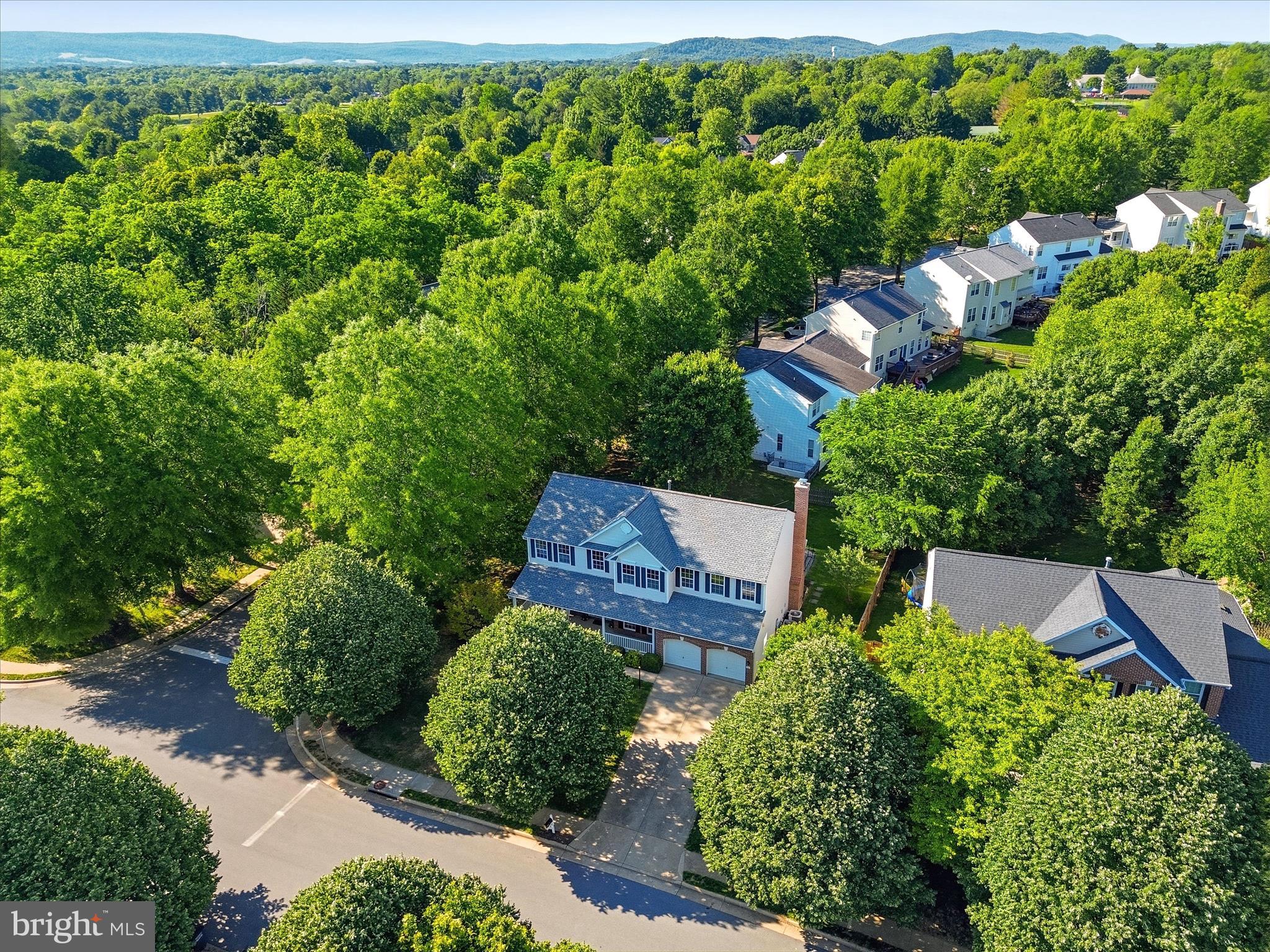 LOCUST GROVE - Residential