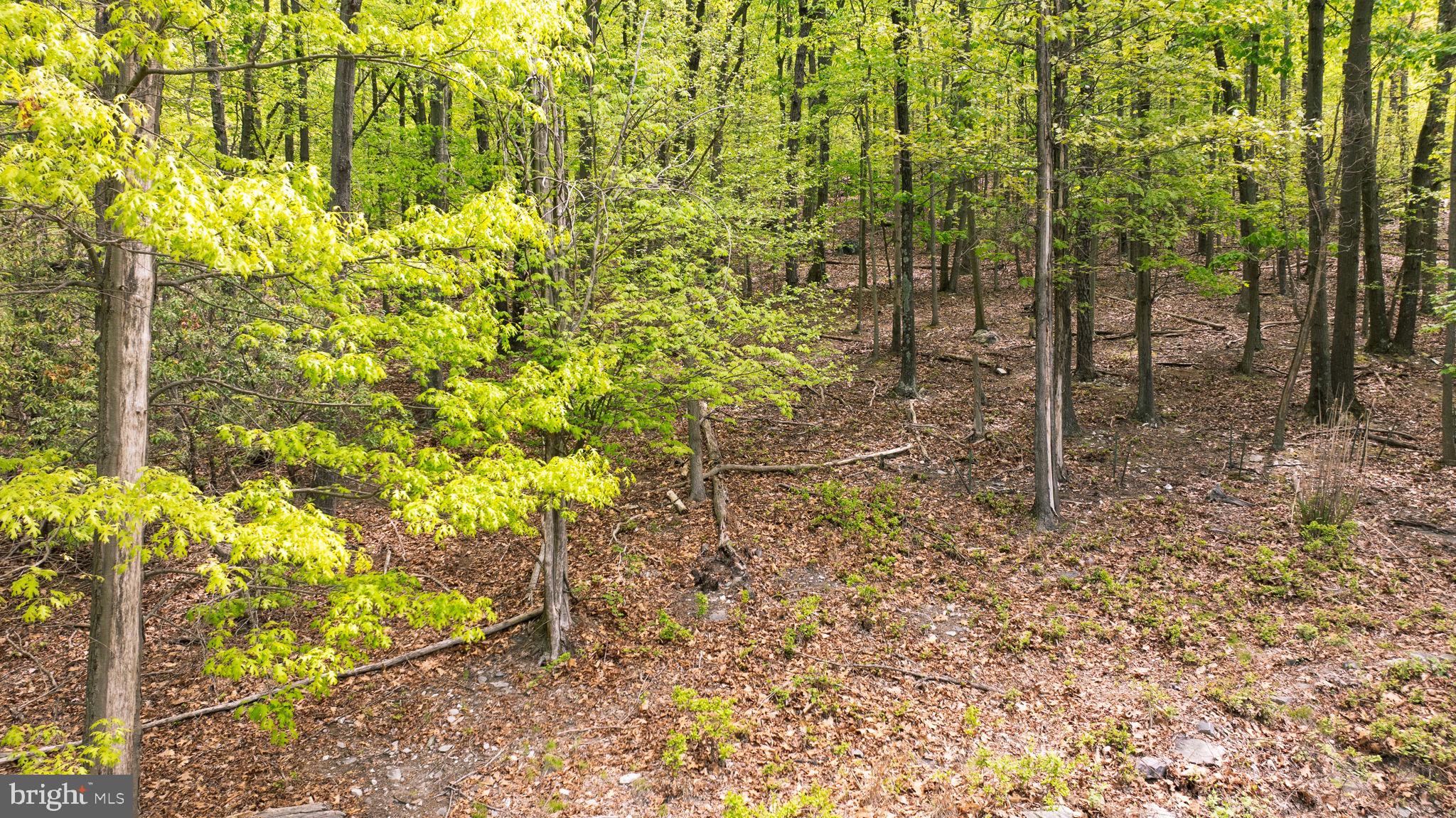 SHANNONDALE - Land