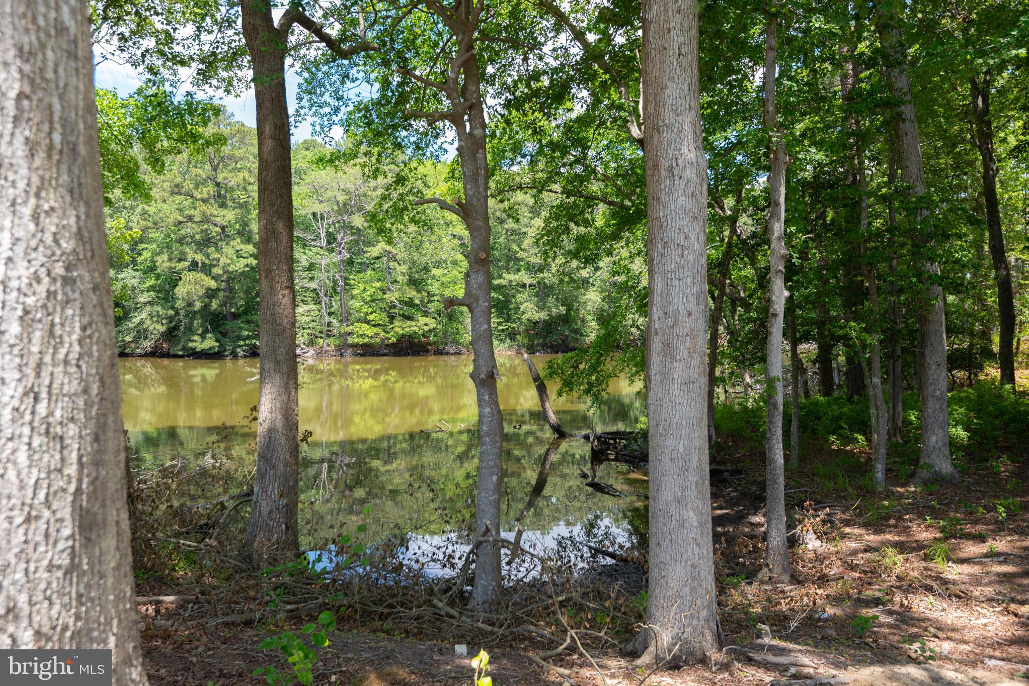 RIVER RUN - Residential