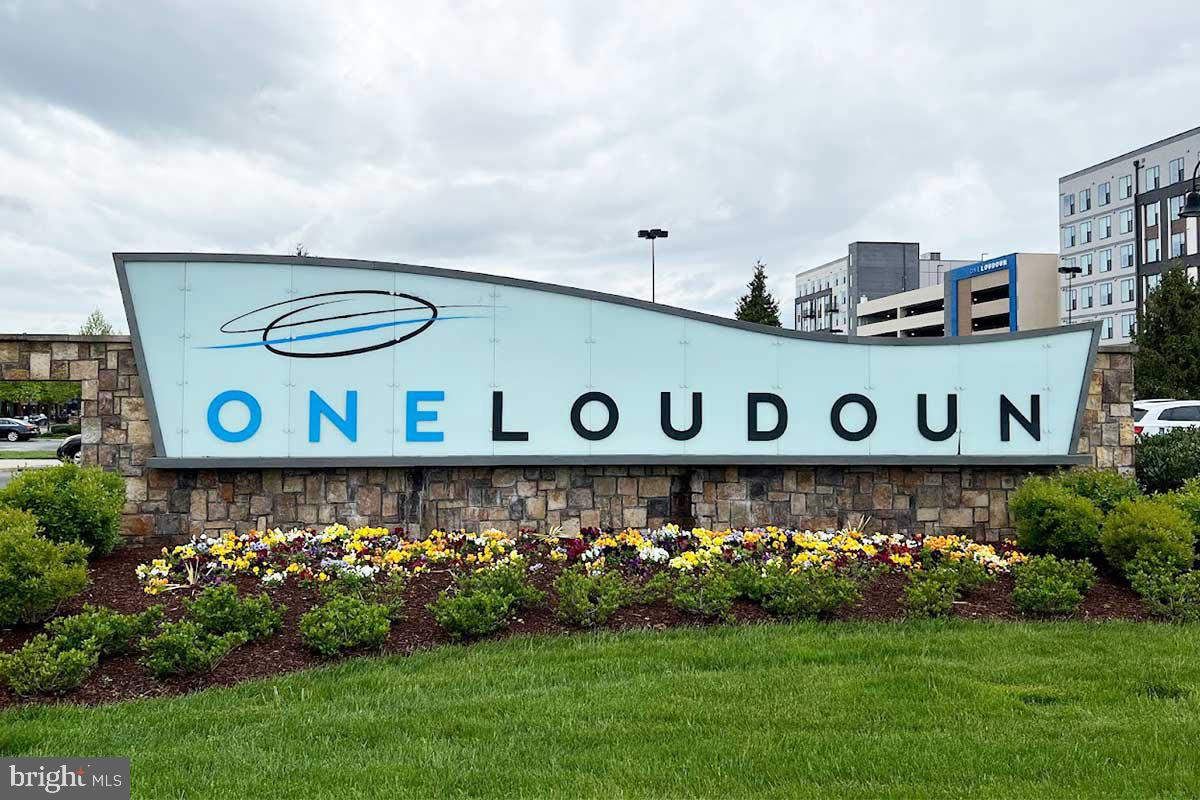 ONE LOUDOUN - Residential