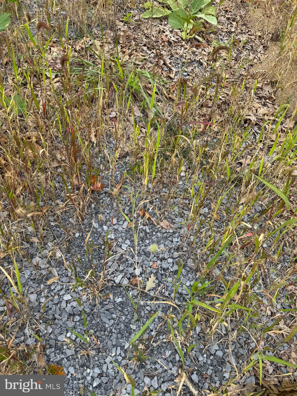 MINOR - Land