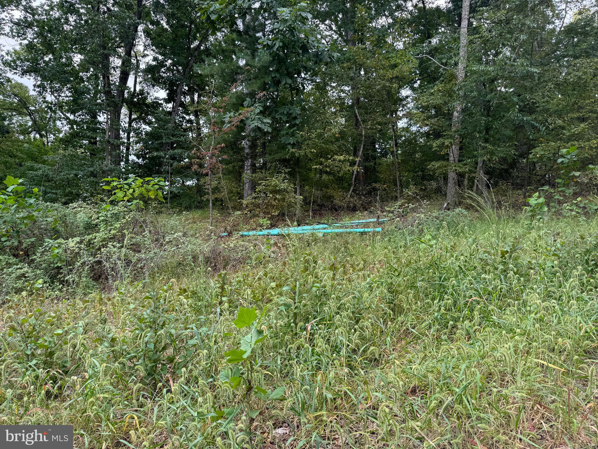 MINOR - Land