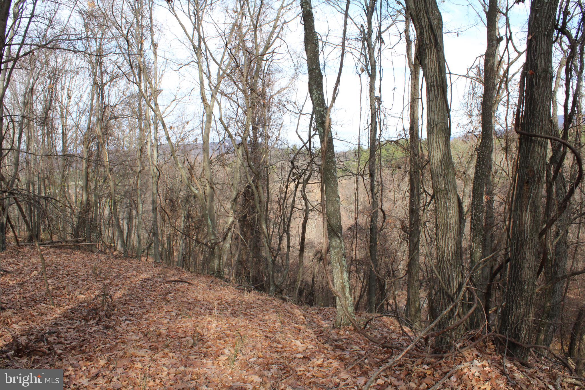 ASHTON WOODS - Land