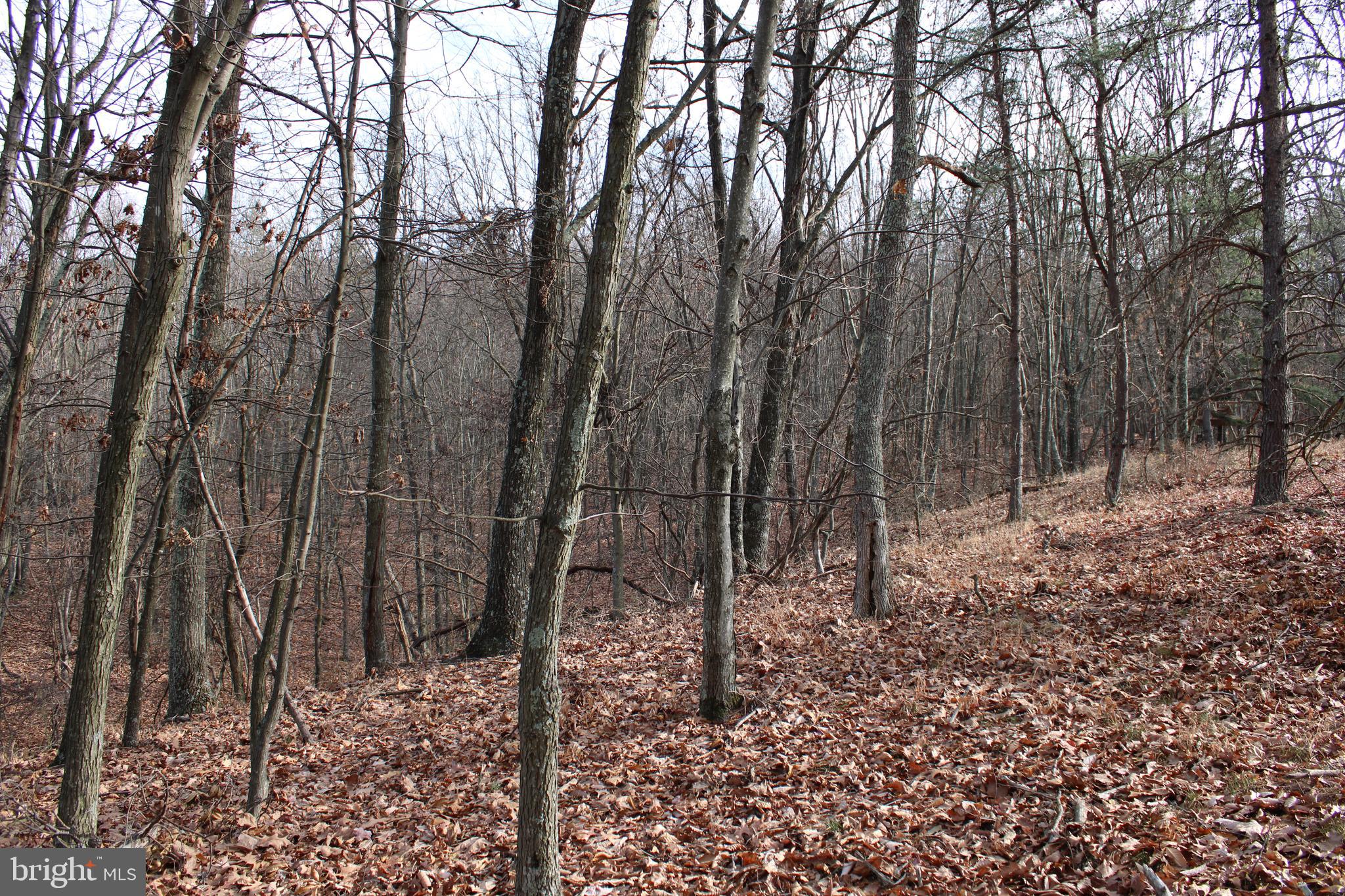 ASHTON WOODS - Land