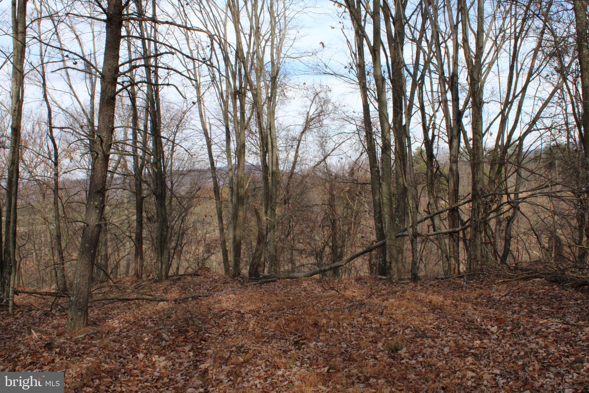 ASHTON WOODS - Land