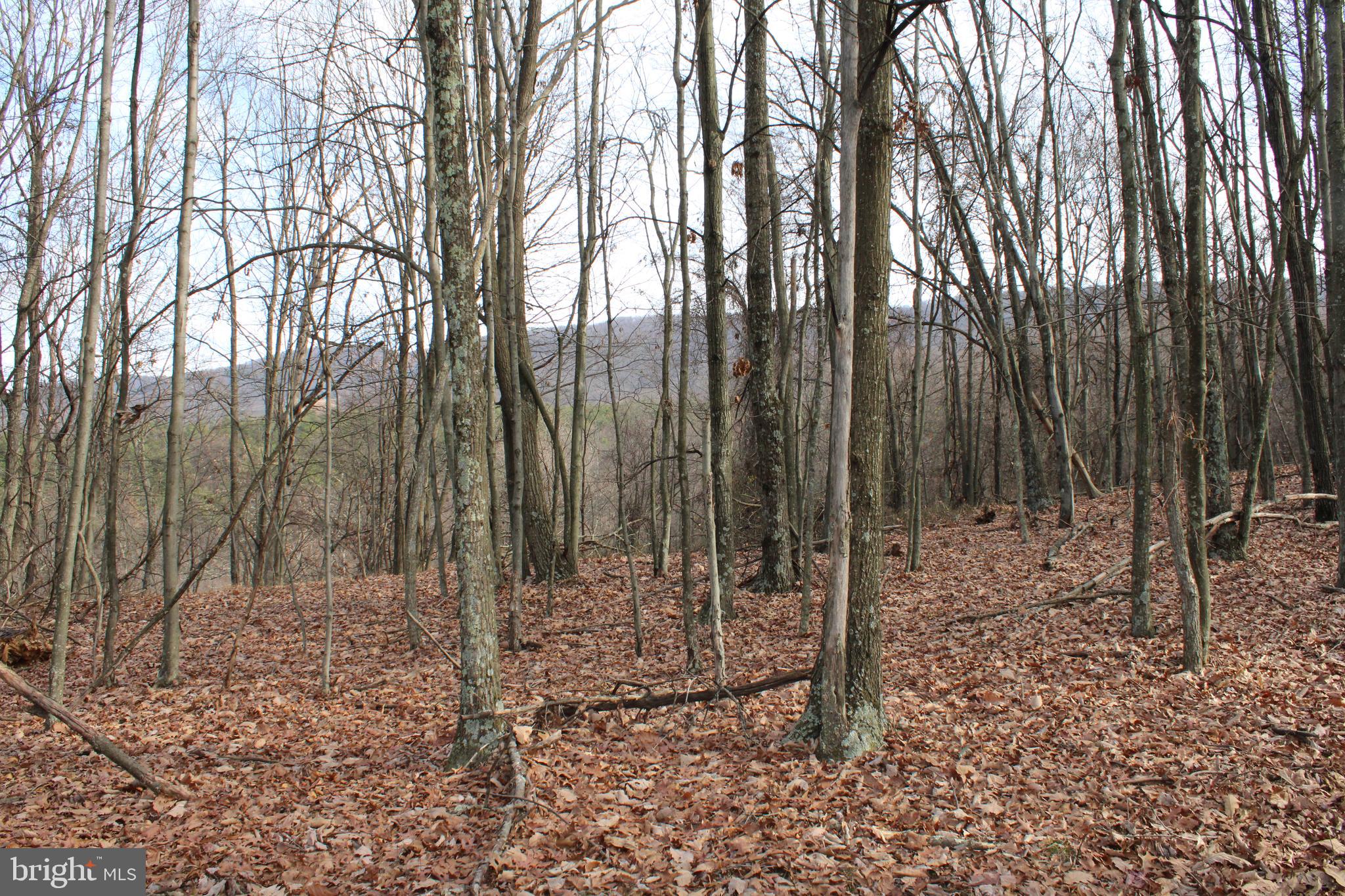 ASHTON WOODS - Land
