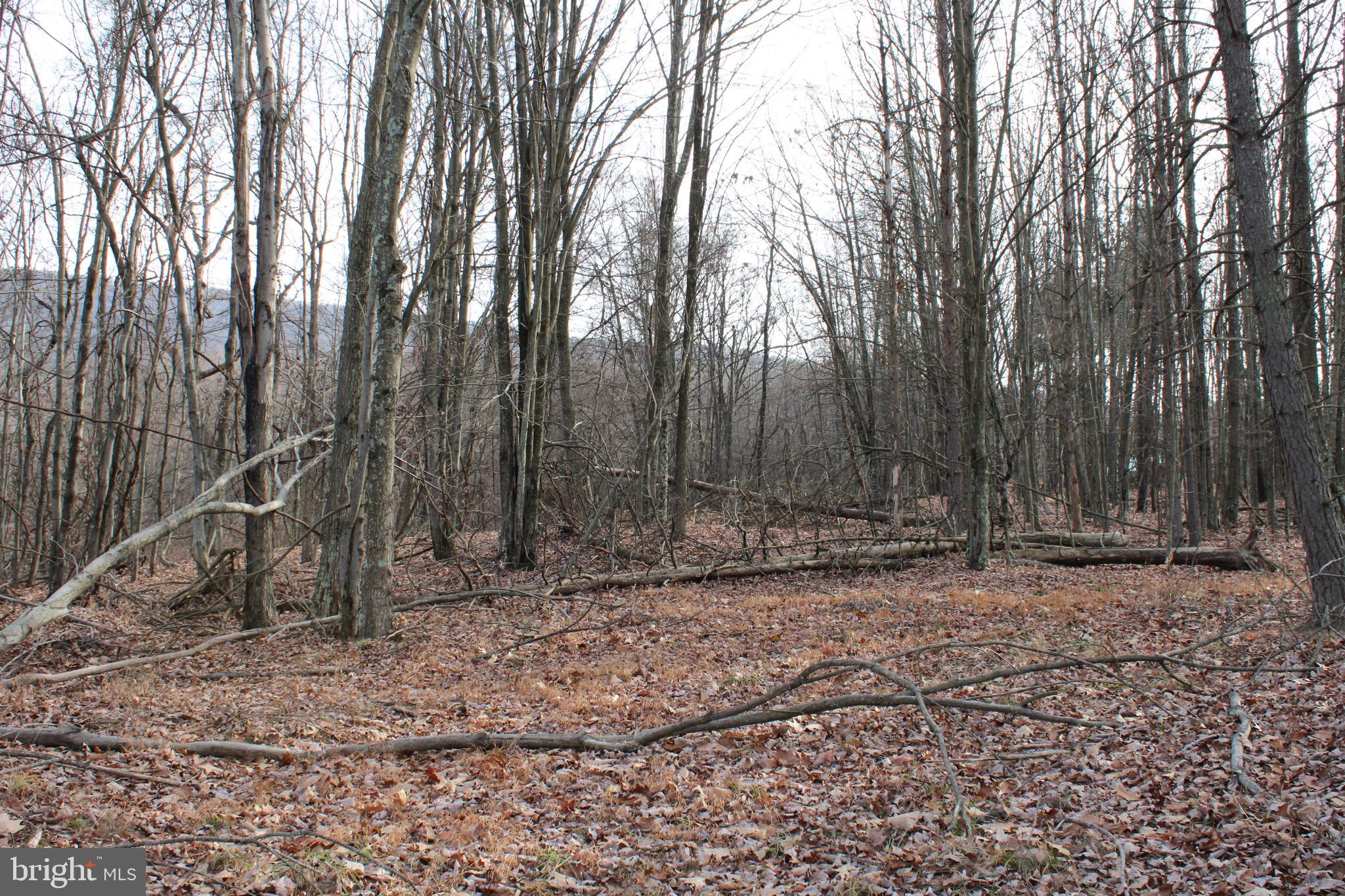 ASHTON WOODS - Land
