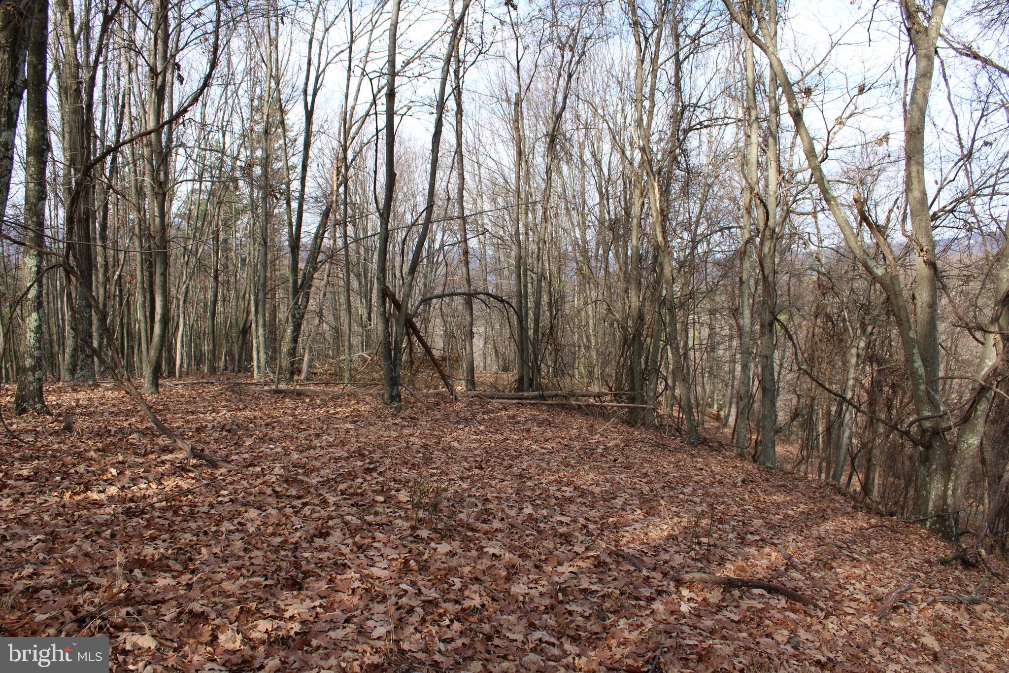 ASHTON WOODS - Land