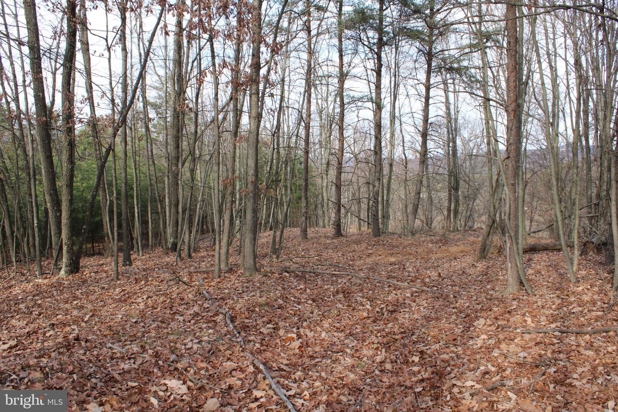 ASHTON WOODS - Land