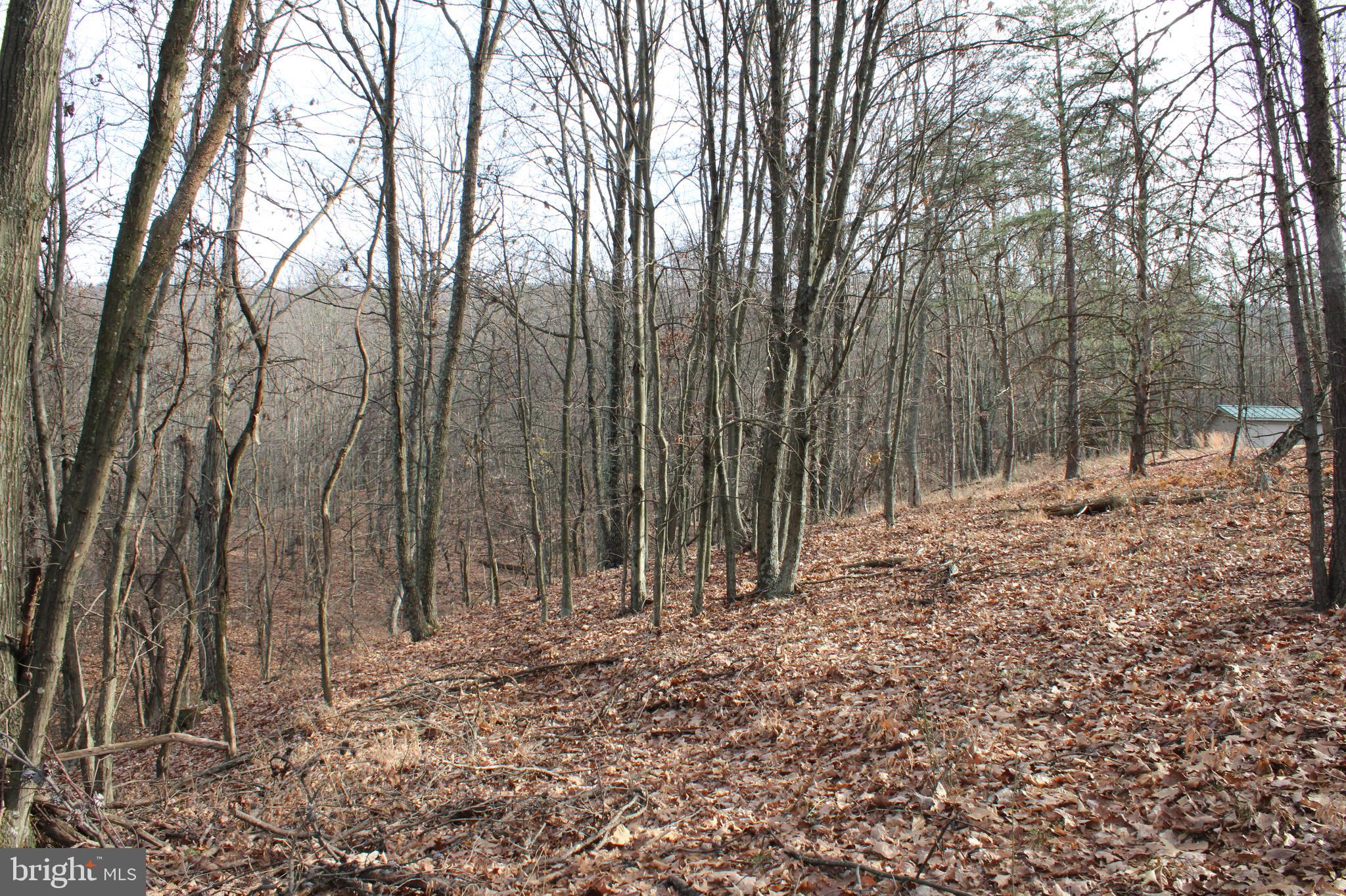 ASHTON WOODS - Land