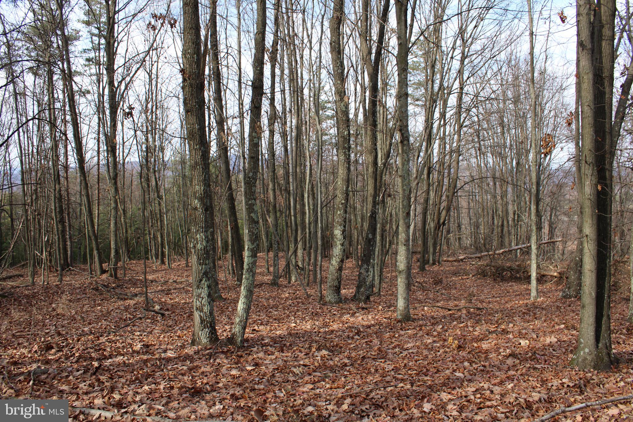 ASHTON WOODS - Land