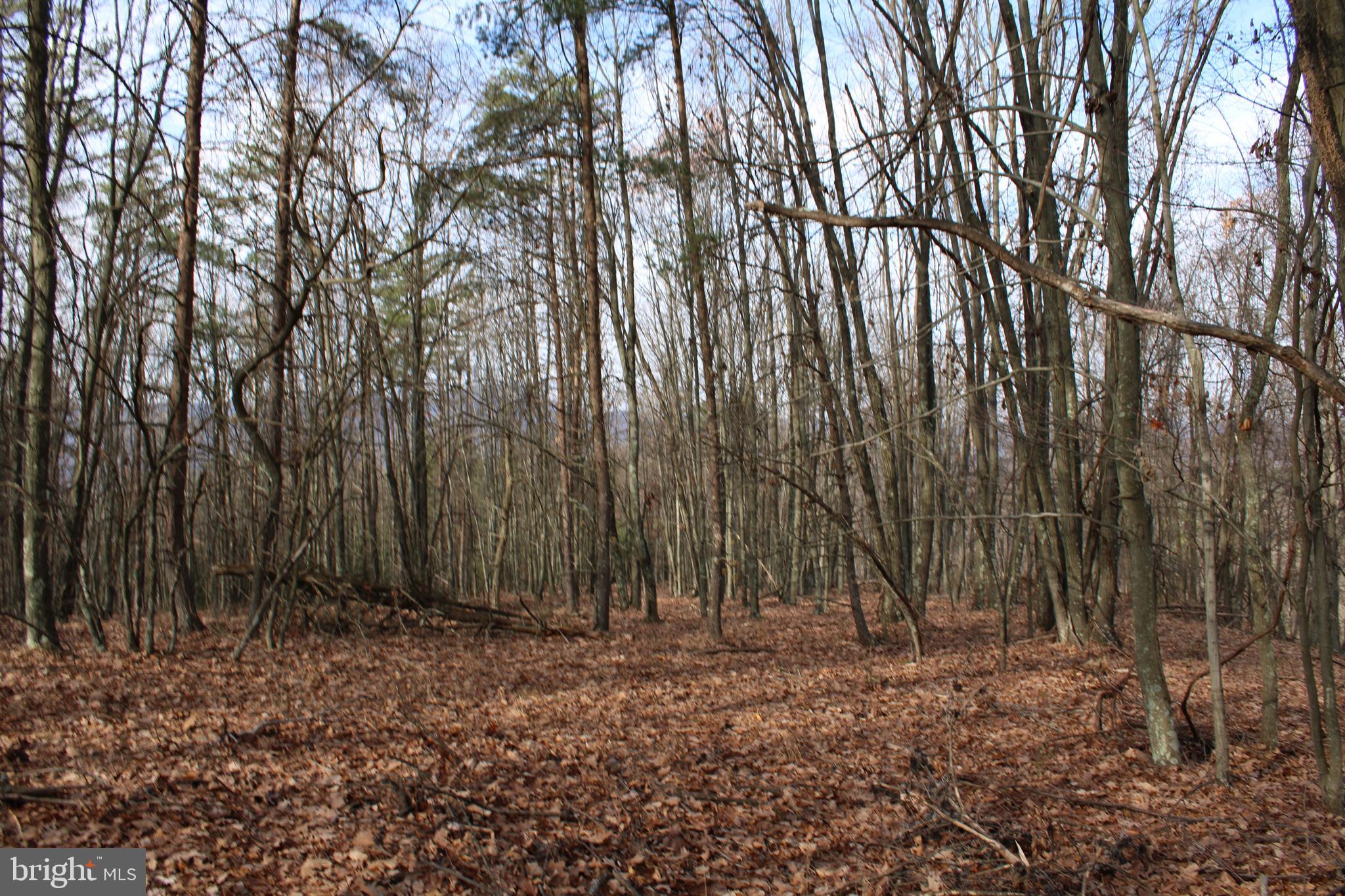 ASHTON WOODS - Land