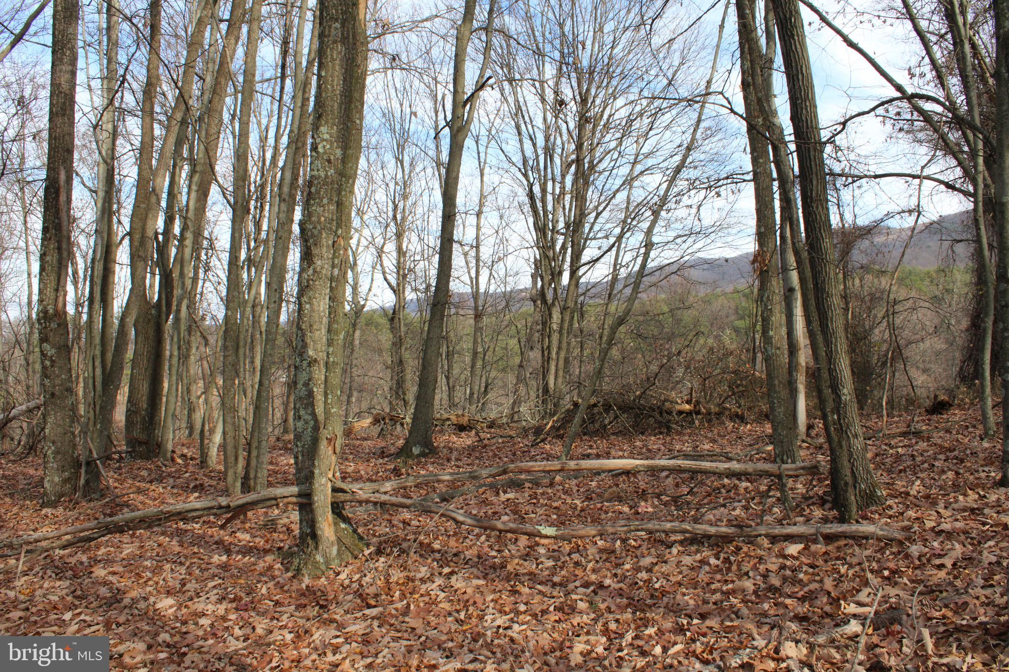 ASHTON WOODS - Land