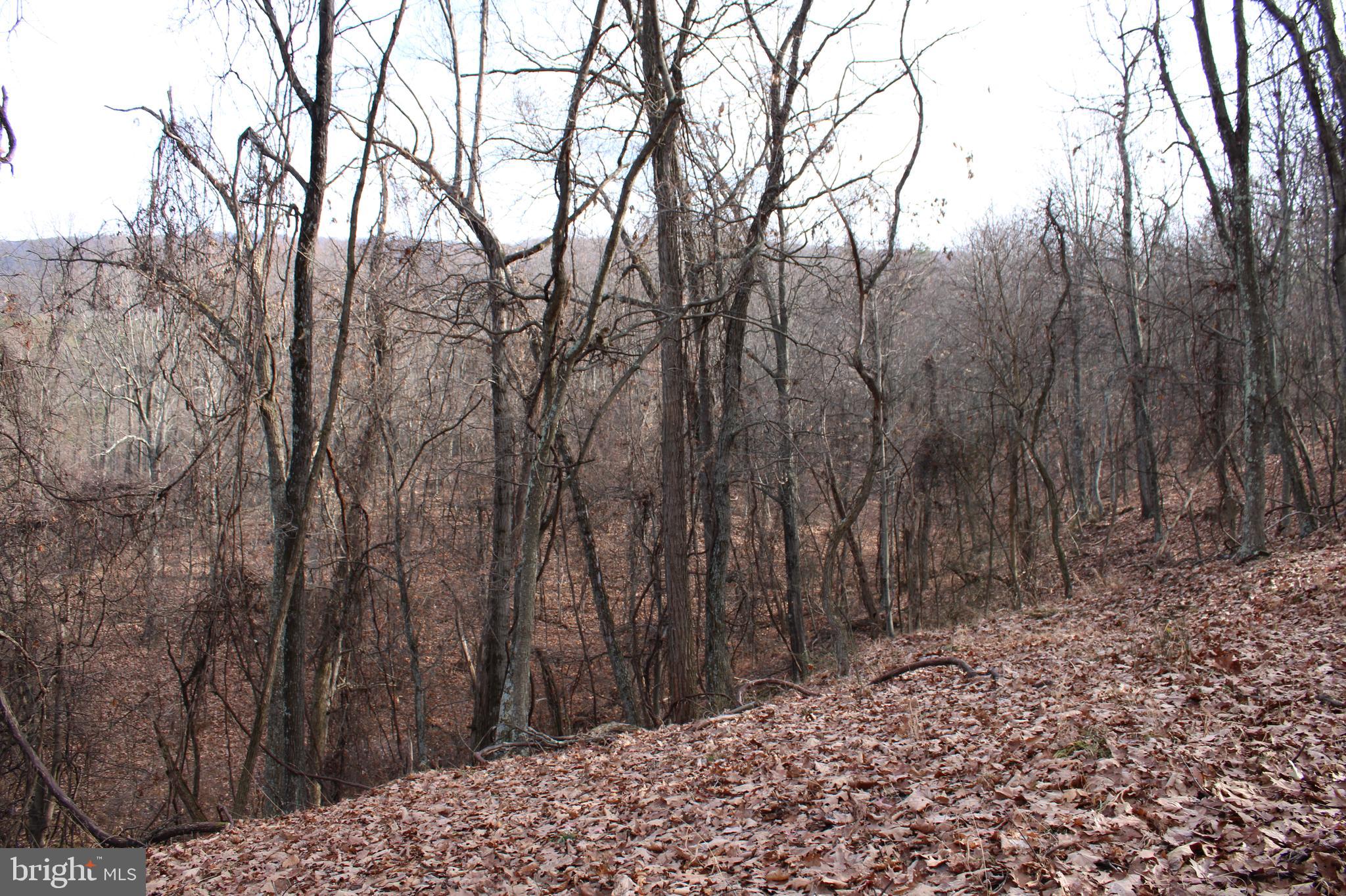 ASHTON WOODS - Land