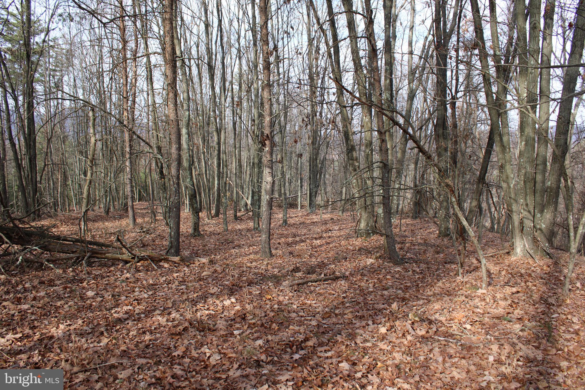 ASHTON WOODS - Land