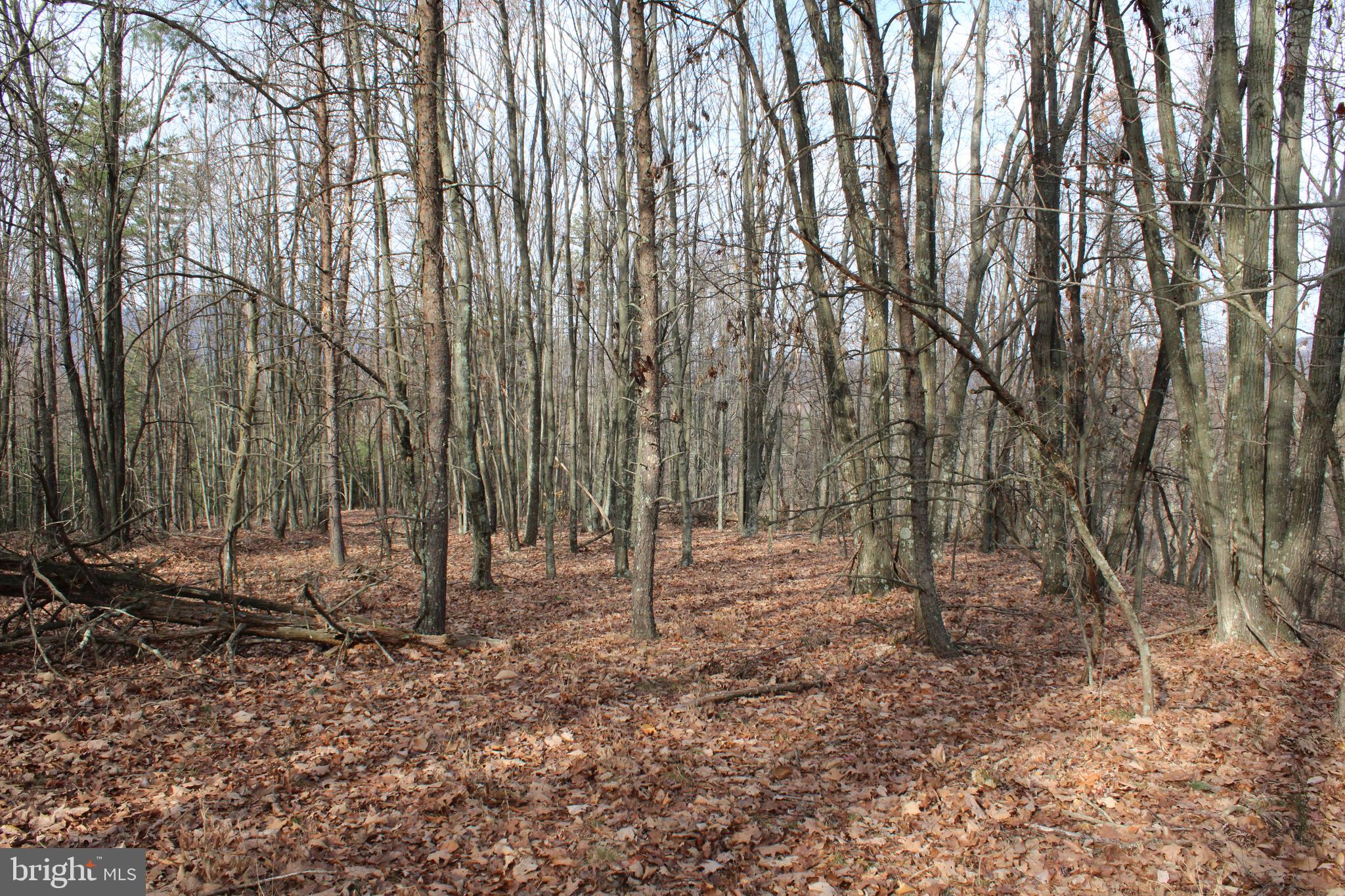 ASHTON WOODS - Land
