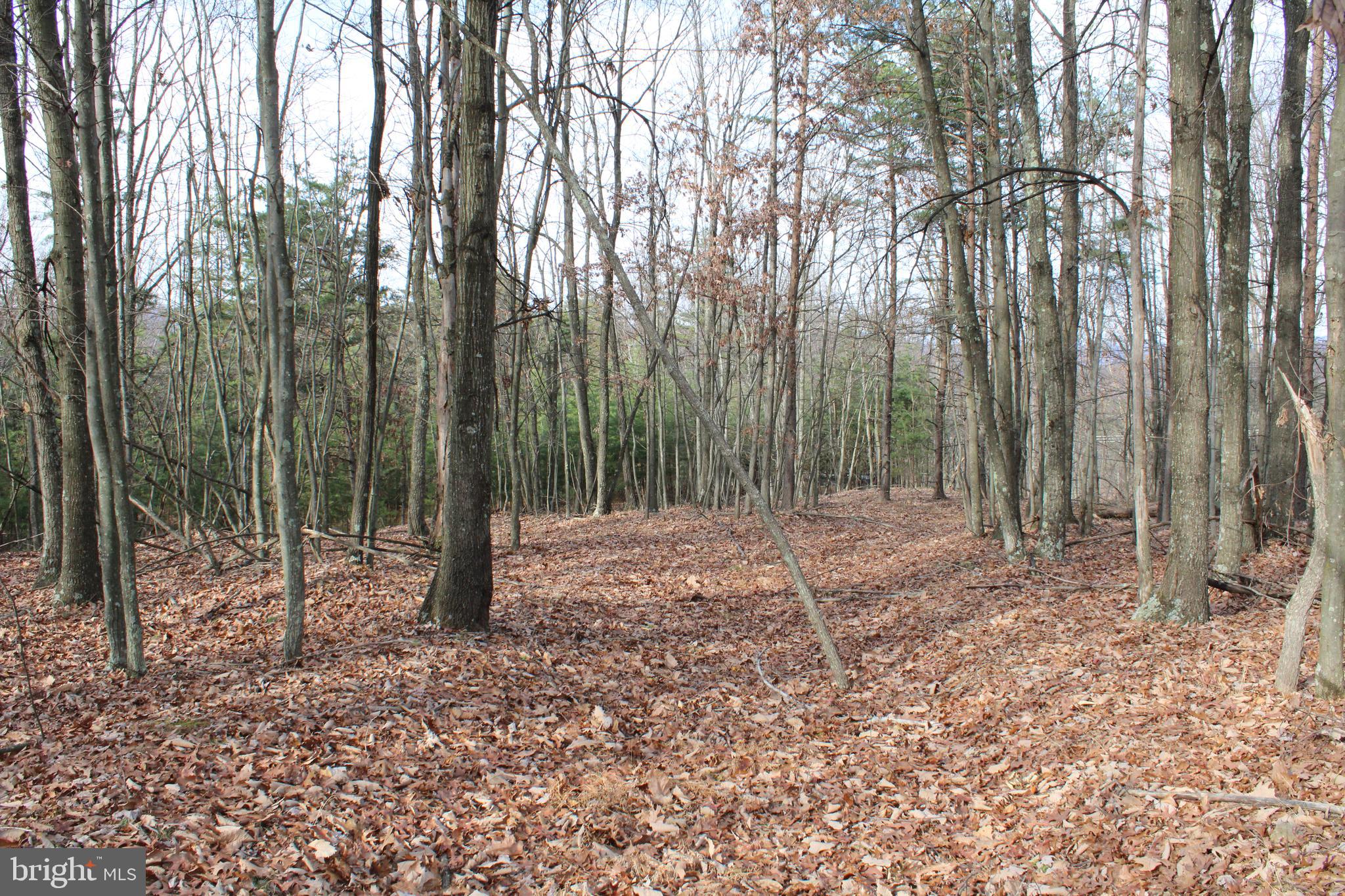 ASHTON WOODS - Land