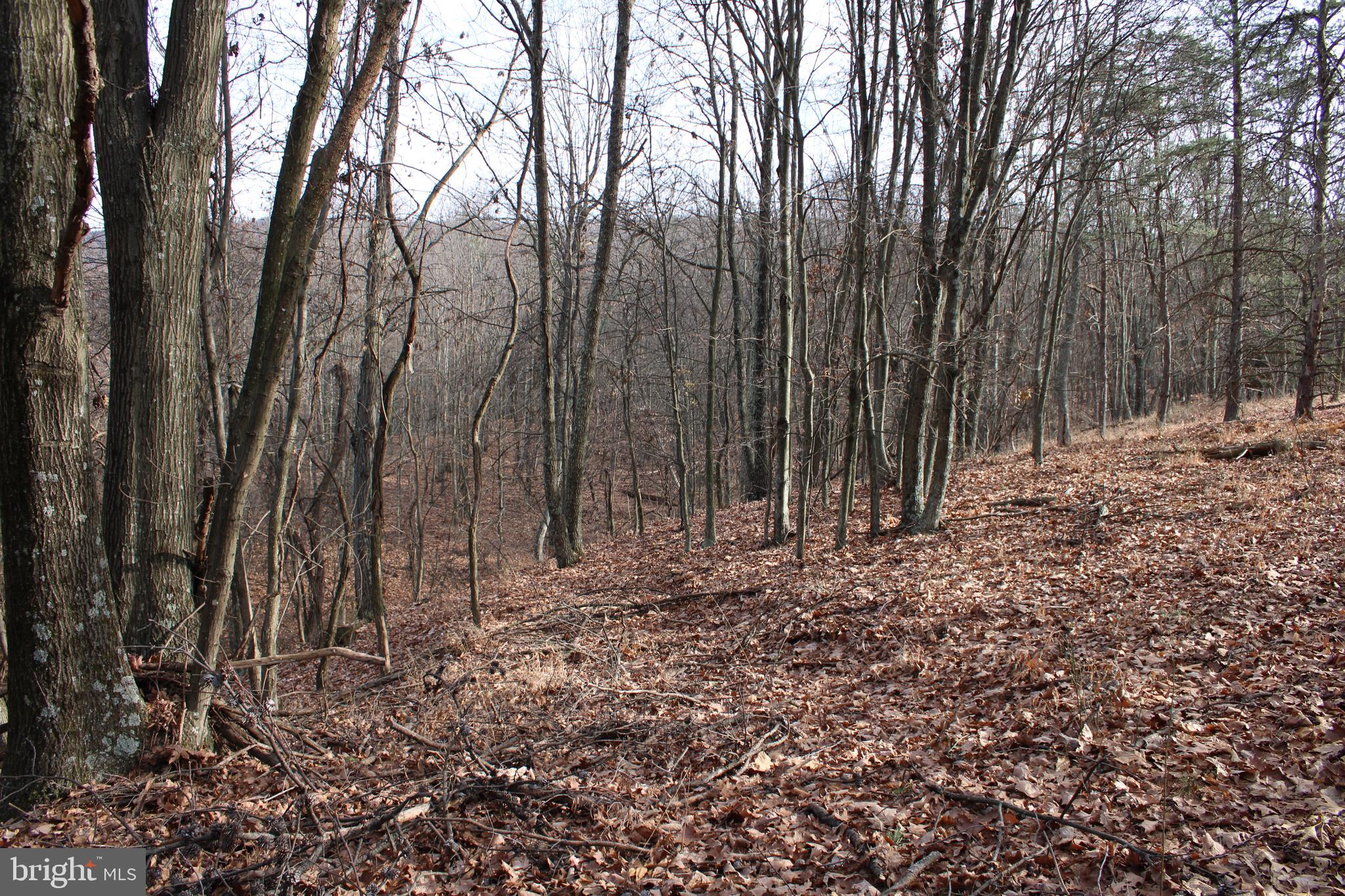 ASHTON WOODS - Land