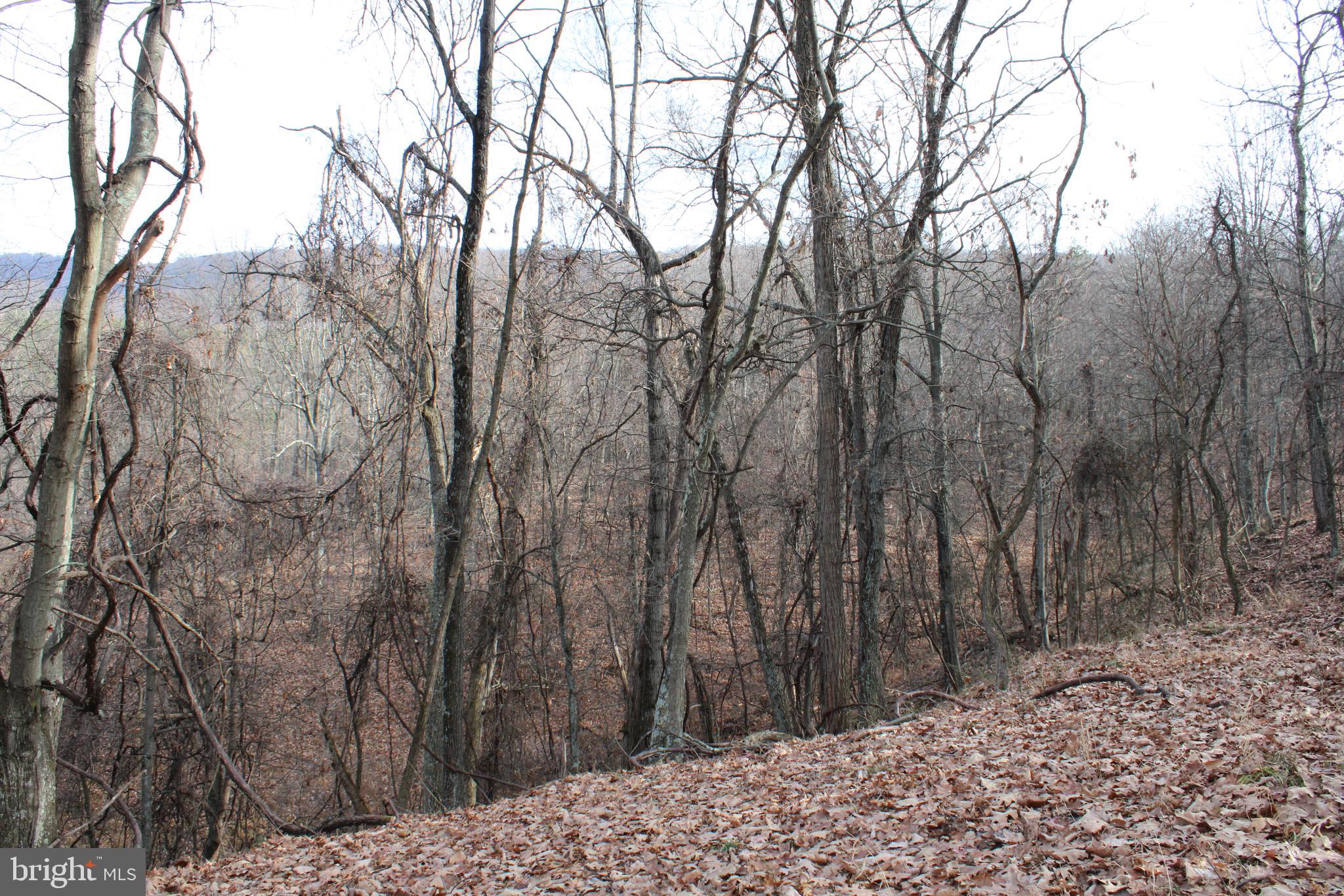 ASHTON WOODS - Land