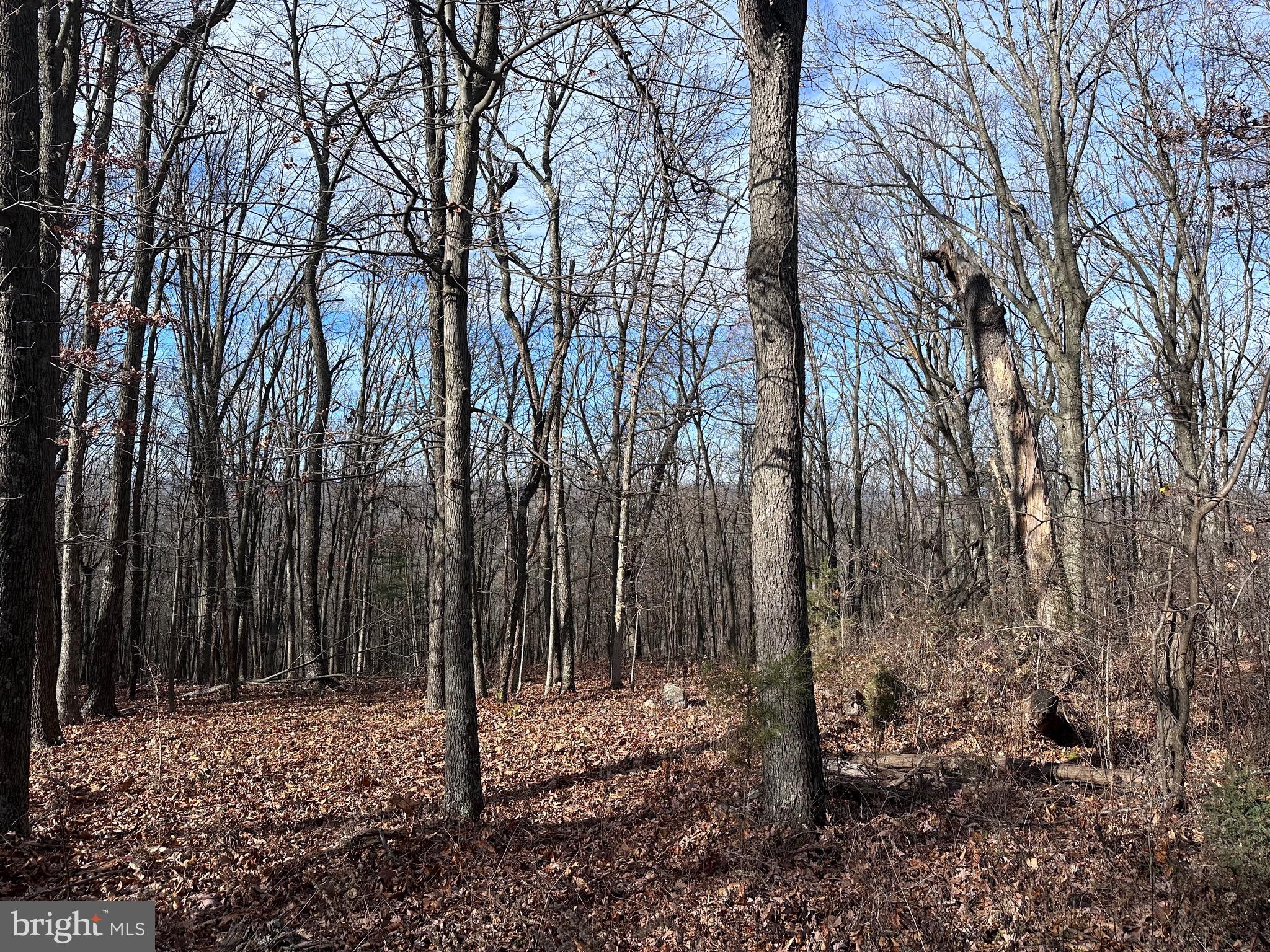STARTS AT THE CORNER OF CACAPON MOUNTAIN ROAD AND CMR RIDGE ROAD, BUT ONLY BORDERS CMR RIDGE ROAD (CHECK PLAT), GOOD ACCESS, LOT SLOPING FROM ROAD, ALL WOODED, NICE AREA OF WEEKEND AND PERMANENT HOMES.  COMMUNITY ACCESS TO RIVER AND PICNIC AREA.