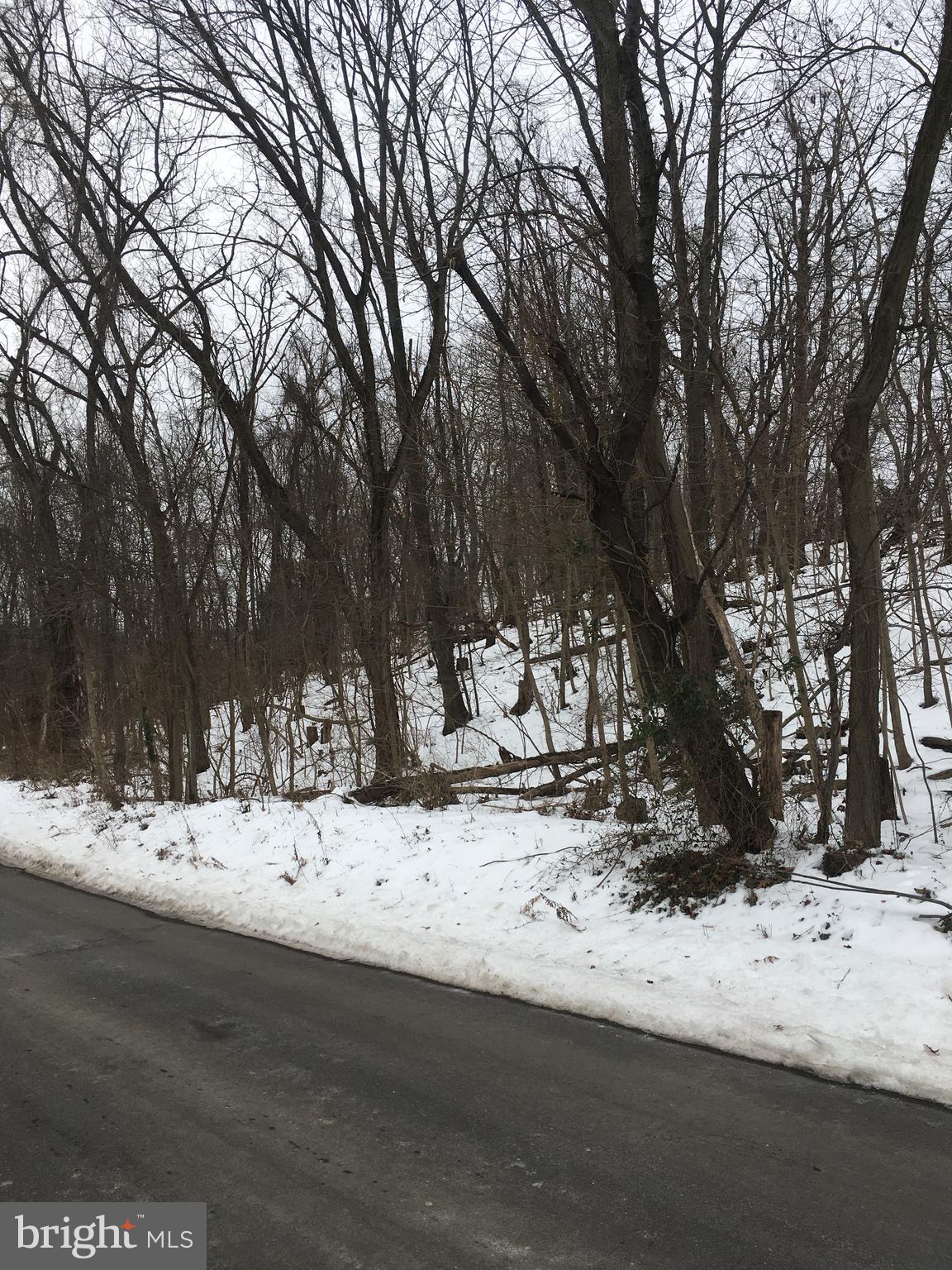 GREAT LOCATION AND PRICED WELL FOR A  .85 ACRE LOT IN TOWN - LOTS TO CONVEY ARE 2-12 - ROAD FRONTAGE ON PATTERSON AVE - POSSIBLE DEVELOPMENT FOR RENTAL UNIT HOMES WITH ZONING APPROVAL - NOT MANY LOTS THIS SIZE FOR THIS PRICE OUT THERE