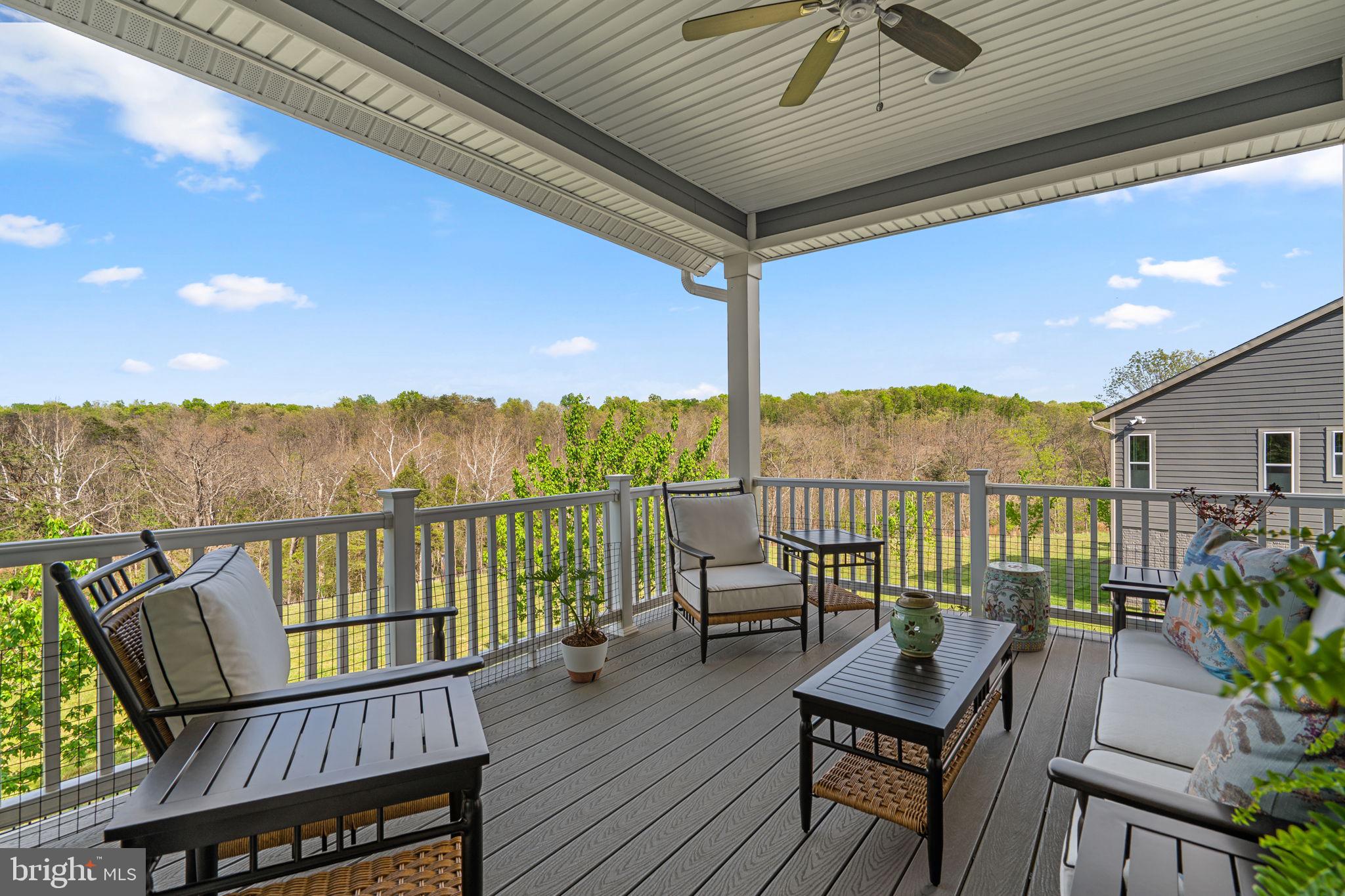 SHENANDOAH, LAKE FREDERICK - Residential