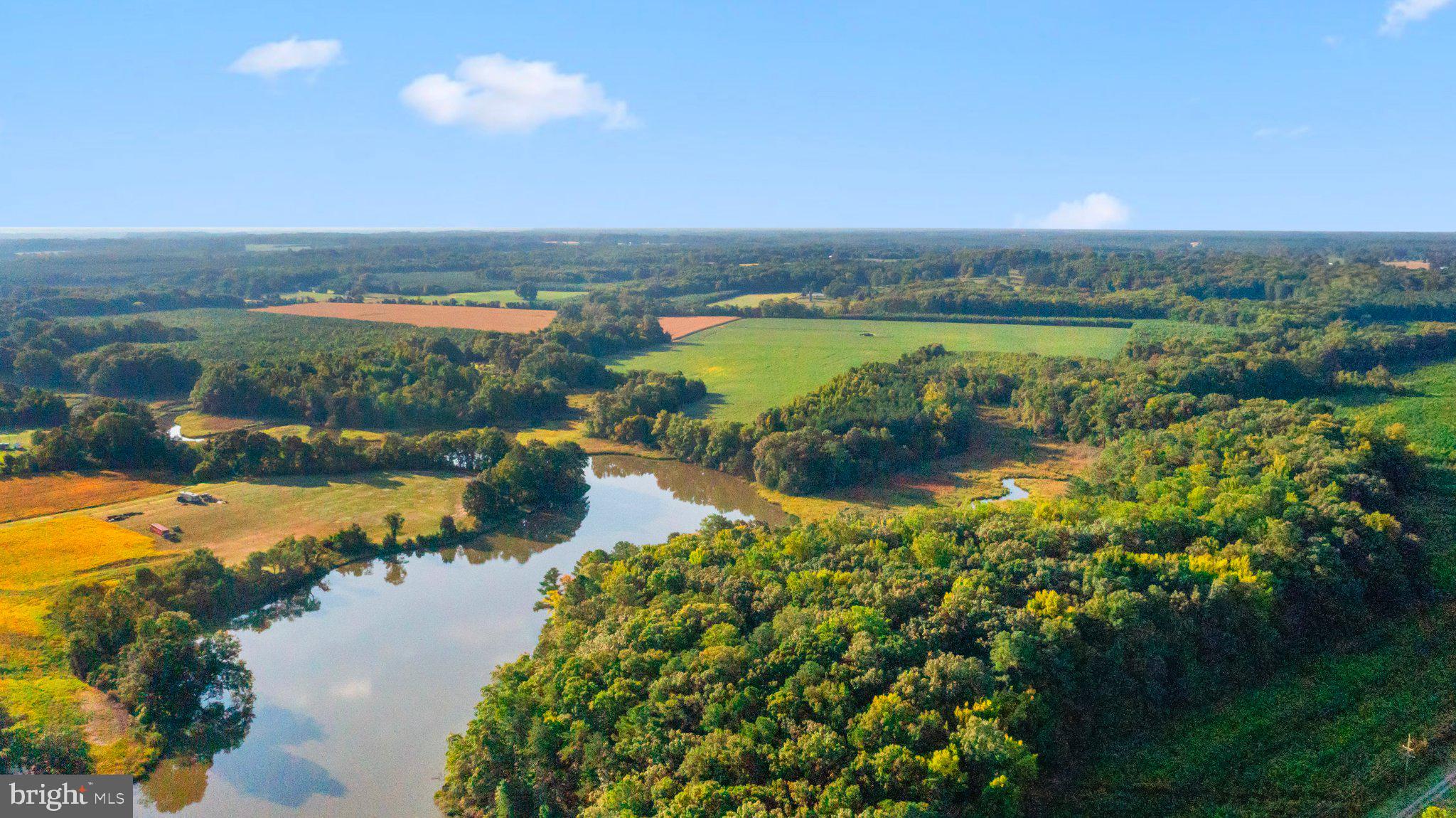 Originally known as Mount Pleasant this breathtaking 426.15 acre parcel was at one time the home of Thomas Lee, whose home Mount Pleasant burned in 1729.  Sometime after, Thomas Lee and his family moved to Stratford Hall, which is a must-see on the Northern Neck!  Since that time, a portion of this property has been known as "Burnt House Field".  This vast bucolic parcel is partially fenced with 6500' of frontage on Lee Creek and Lower Machodoc Creek which lies just off of the Potomac River. The west portion of Machodoc Creek is considered Navigable. Other notable features include three ponds, 188 acres +/- of open land, used as pasture and cropland  and sweeping vistas in every direction.  Wildlife and waterfowl abound. Known on this portion of the Northern Neck as "the little hatchery", the abundance of geese, ducks, wild turkey, native game birds, bald eagles, deer and all manner of wildlife is astounding!  A host of towering ancient trees, rivers of daffodils, a provenance that transcends the ages and so much more make this a fabulously desirable property and the buying opportunity of a lifetime!  Ideal  for use as a family compound, sporting property or rural oasis set in the heart of Westmoreland County, on the Northern Neck of Virginia. A breathtakingly serene and beautiful property with frontage on Mount Pleasant Road and Coles Point Road.  Wildlife, Waterfowl and a rolling pastoral landscape awaits.   The burial ground of Thomas Lee, the builder of Stratford Hall, and Richard Henry Lee, a signer of the Declaration of Independence is here and is owned and maintained by The Society of The Lees of Virginia and is not included in this listing.   Mount Pleasant Farm is convenient to Fredericksburg, Washington DC, Richmond, and Williamsburg.  317 Coles Point Road, also known as Mount Pleasant - circa 1886 adjoins this vast waterfront farm property and is also available for purchase in a separate listing.