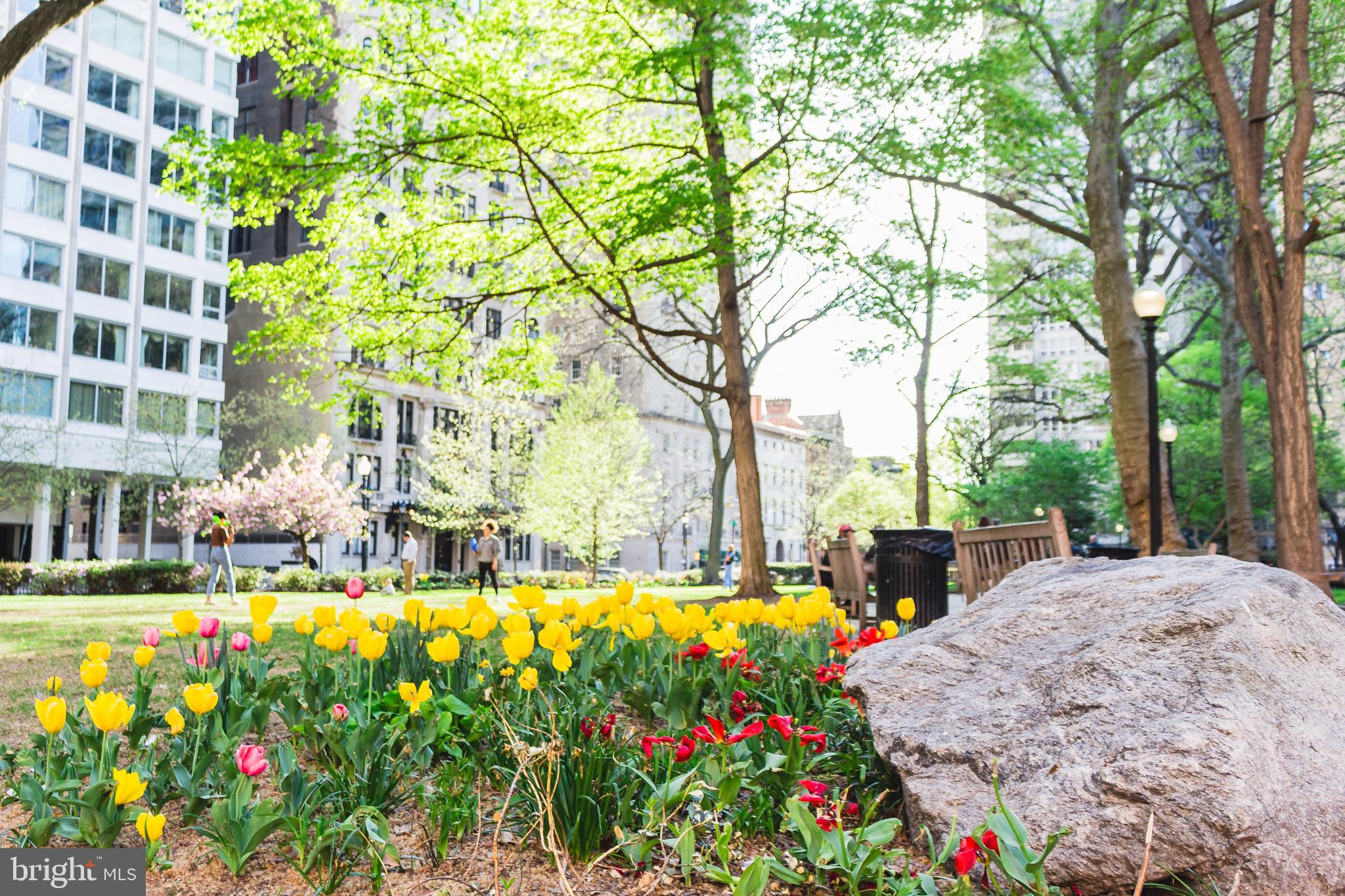 RITTENHOUSE SQUARE - Residential