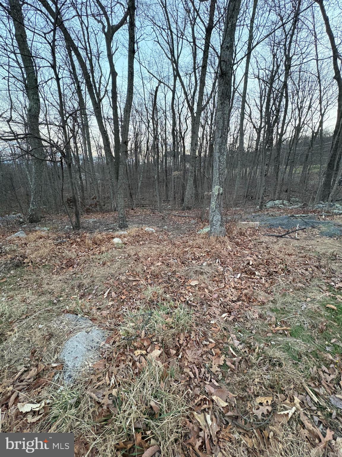 SHAWNEELAND - Land