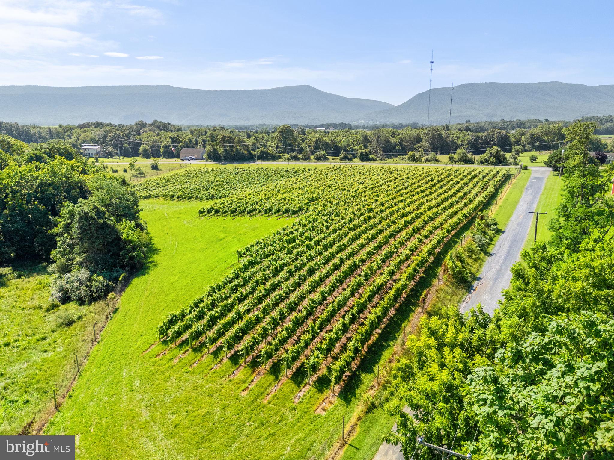 EDINBURG - Farm