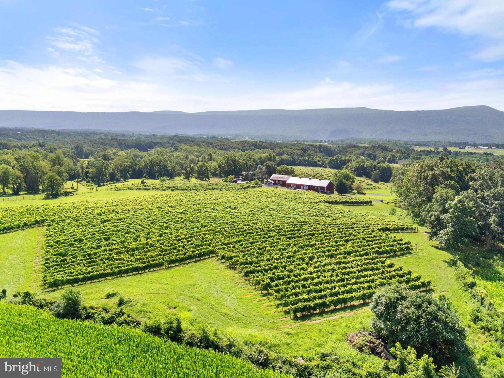 EDINBURG - Farm