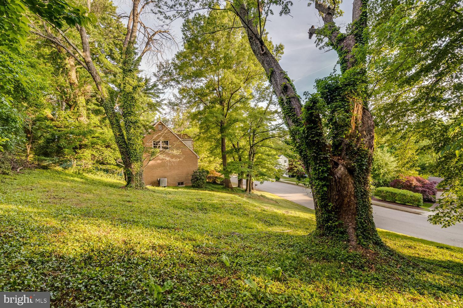 MASON HILL - Residential