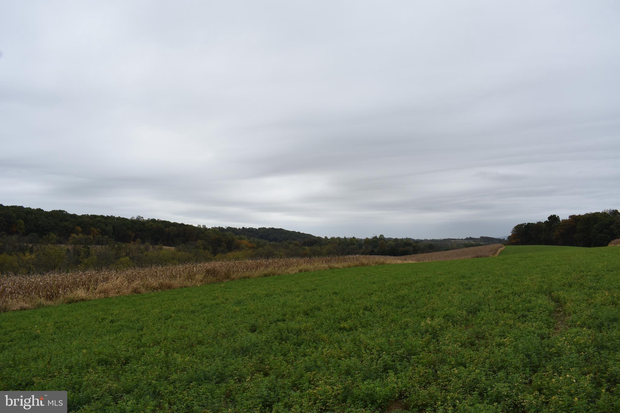 This BEAUTIFUL  153+ acre parcel is located on a quiet country road.  Enjoy the abundant wildlife and your new life at this choice location.  Rolling fields and mature woods will offer you a wonderful home site with amazing views and seclusion for years to come.
The subject property is divided by a small country road and makes you feel like you are driving through your private estate. 
Easy access to Interstate 78 allows you to gain quick access to Allentown, Reading, Harrisburg , Philadelphia and New York city.