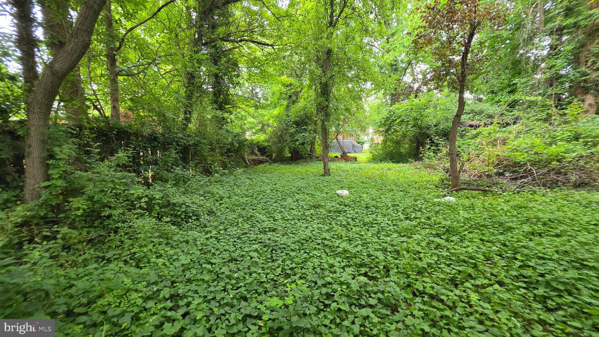 HUNTING RIDGE - Residential