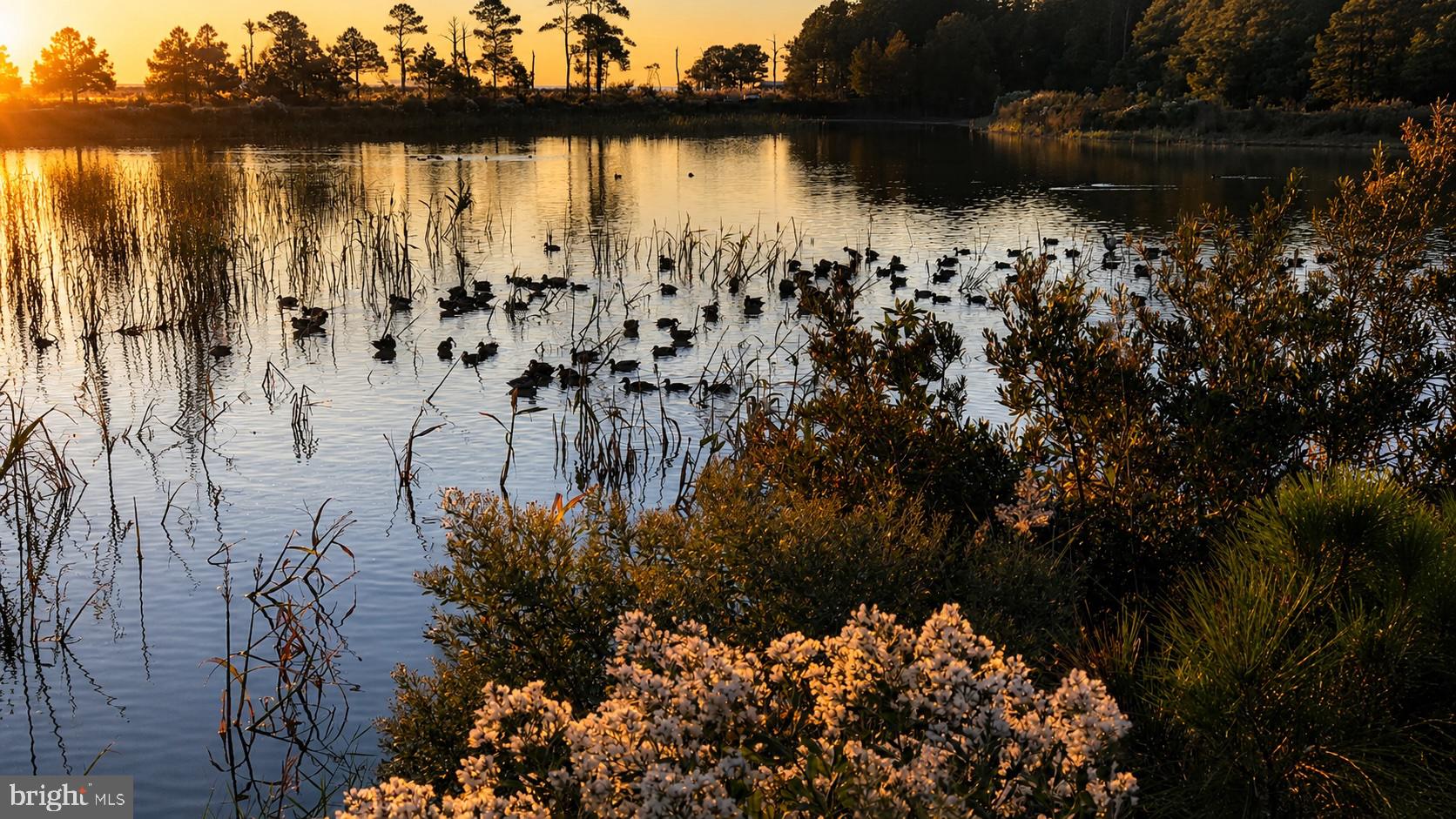 HOOPERS ISLAND - Residential