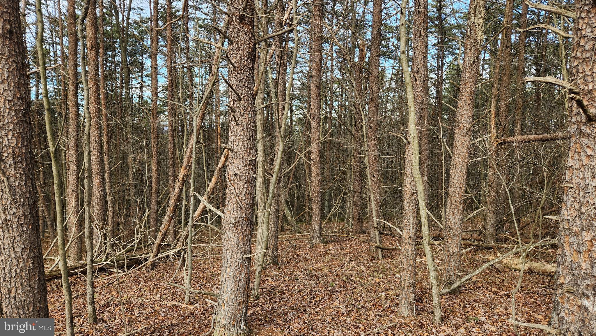 27.2 acres of wooded land with over 200 feet of county maintained road frontage and a completed percolation test.  Minutes from interstate 68.  Close to state forest and not far from the Potomac River and C&O Canal hike and bike trail.   Approximately 2 hour drive from Baltimore or DC.