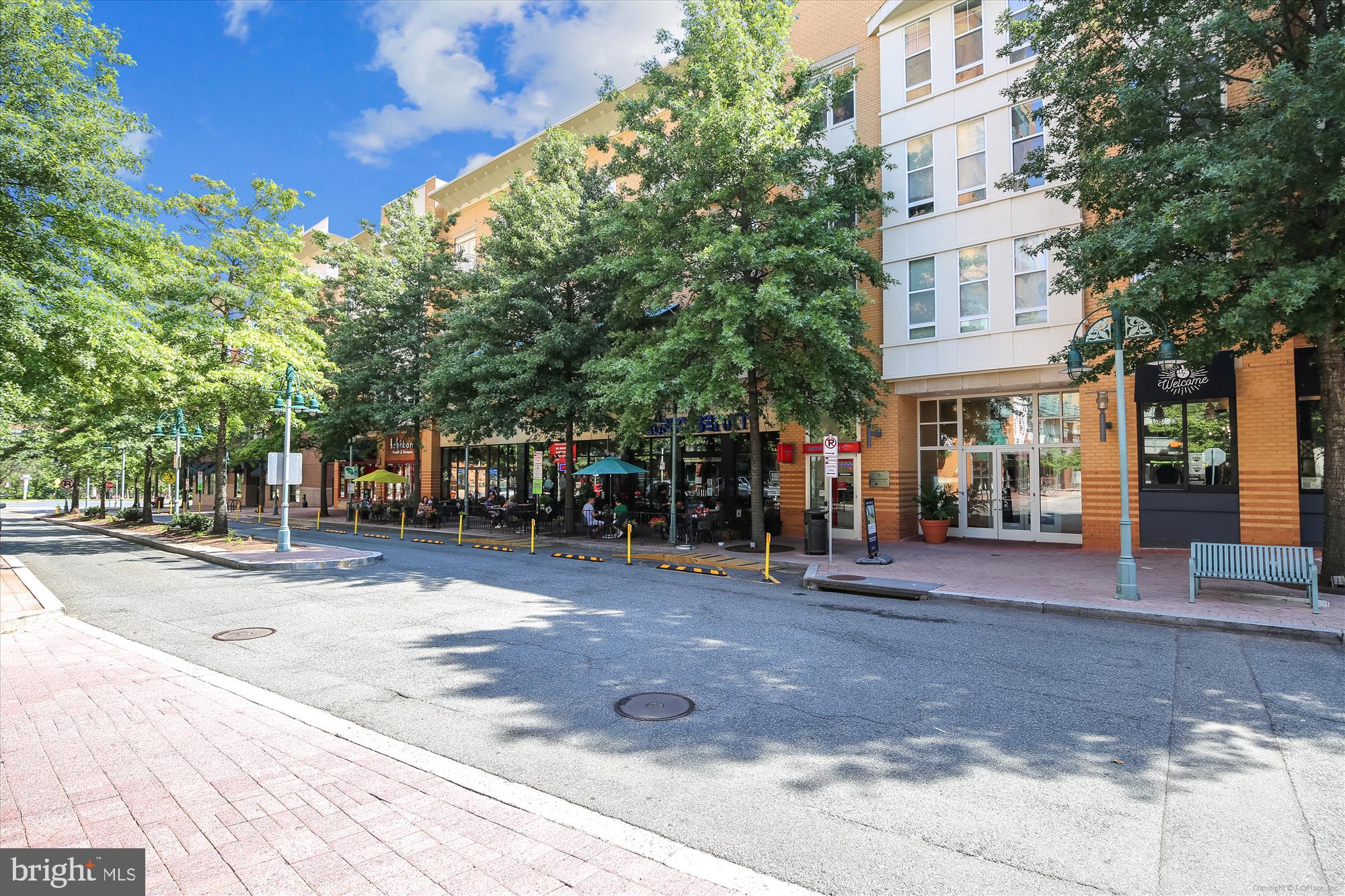 GROVE AT ARLINGTON - Residential