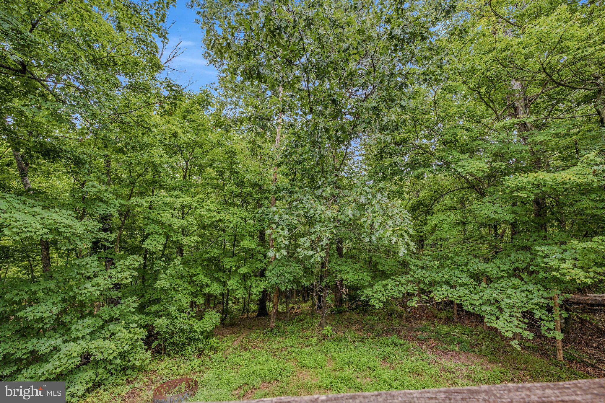 OAK FOREST SUBDIVISION - Residential